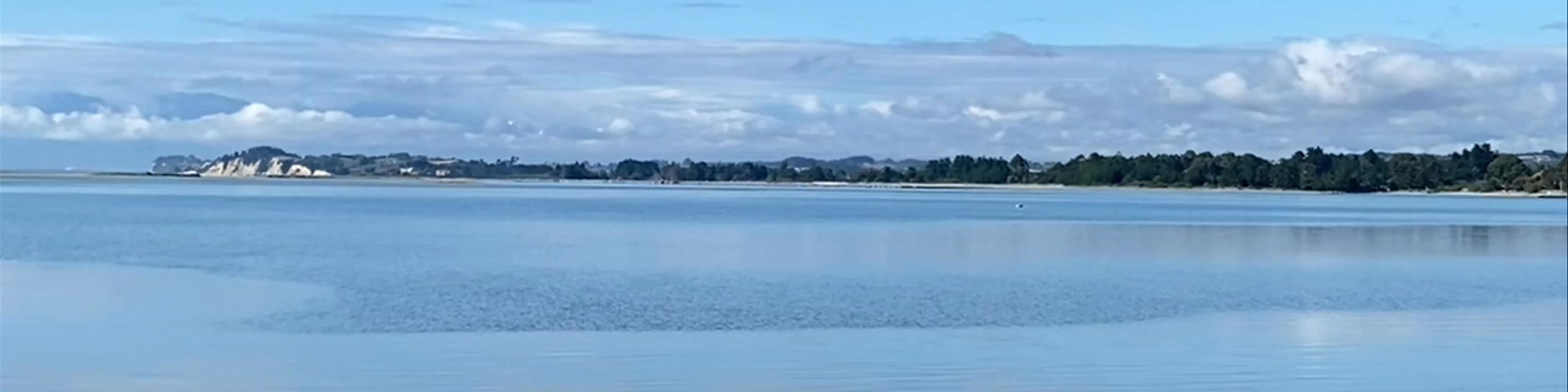 Janie Seddon Shipwreck Motueka Quay