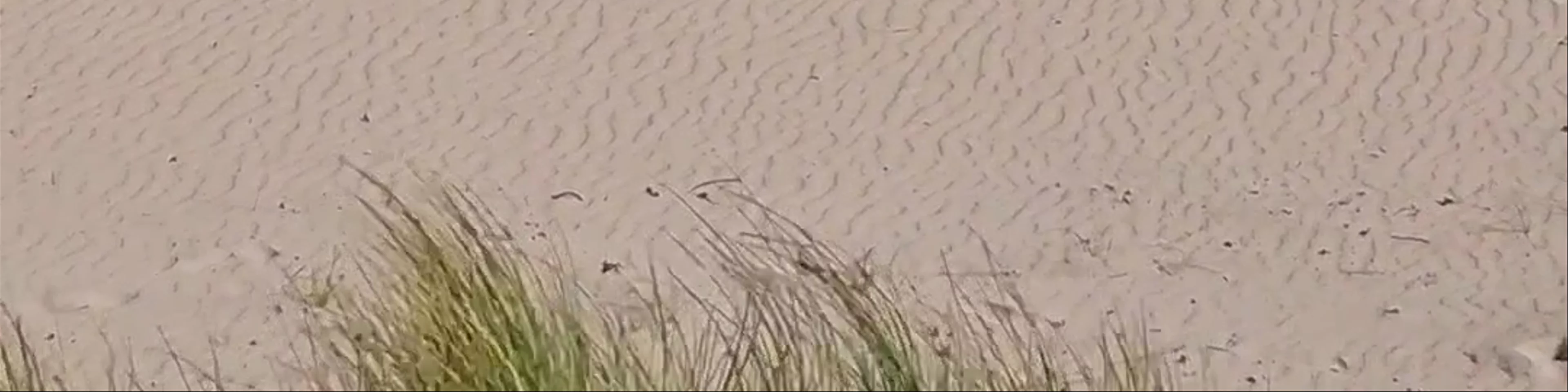 Luskentyre Beach
