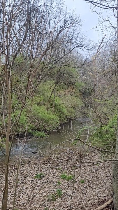 Hayden Falls Park - Parks Near Me - Dublin, Ohio
