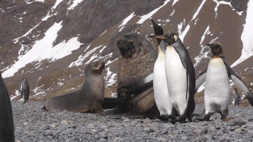 Untitled Work animated gif