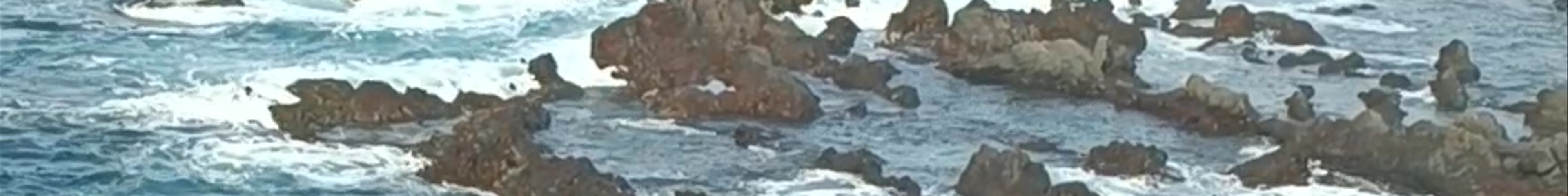 Tours & experiences in Puerto de la Cruz