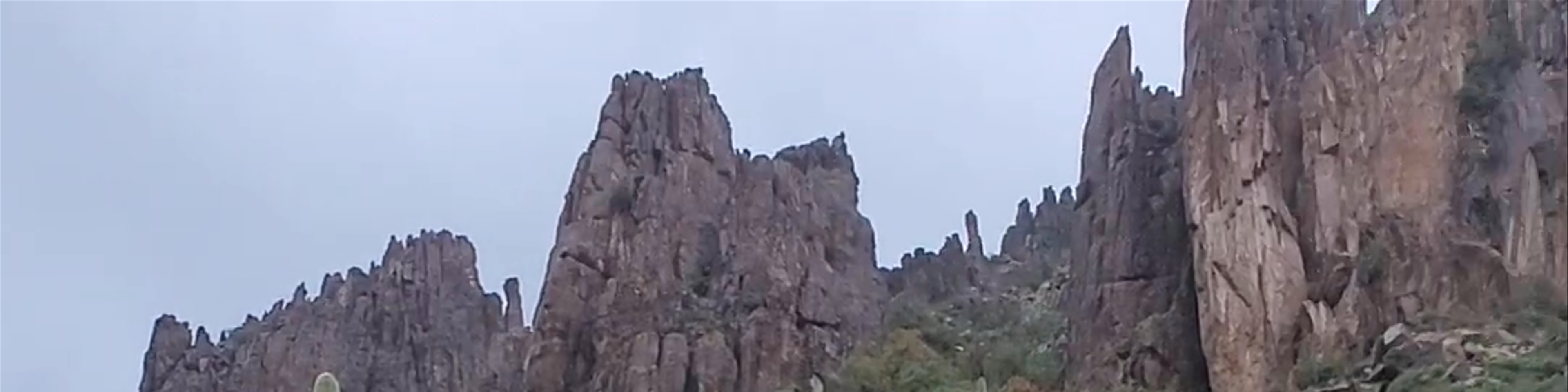 Gold Canyon