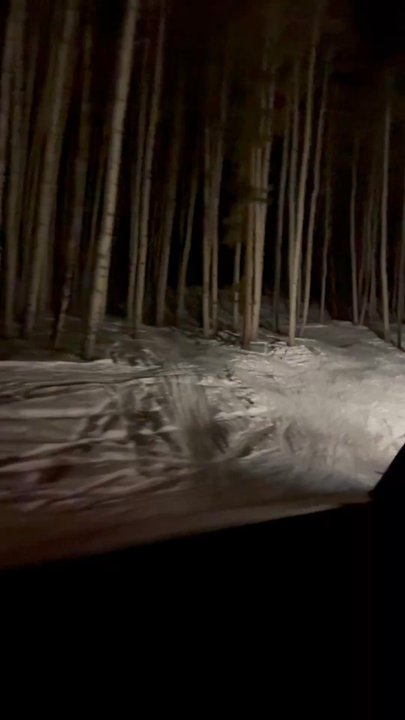 Zach's Cabin - Sleigh ride up - American Near Me - Avon, Colorado