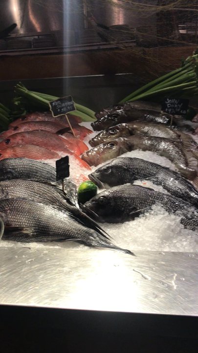 Kellari Taverna - The display of fresh fish - Greek Near Me - New York, New York