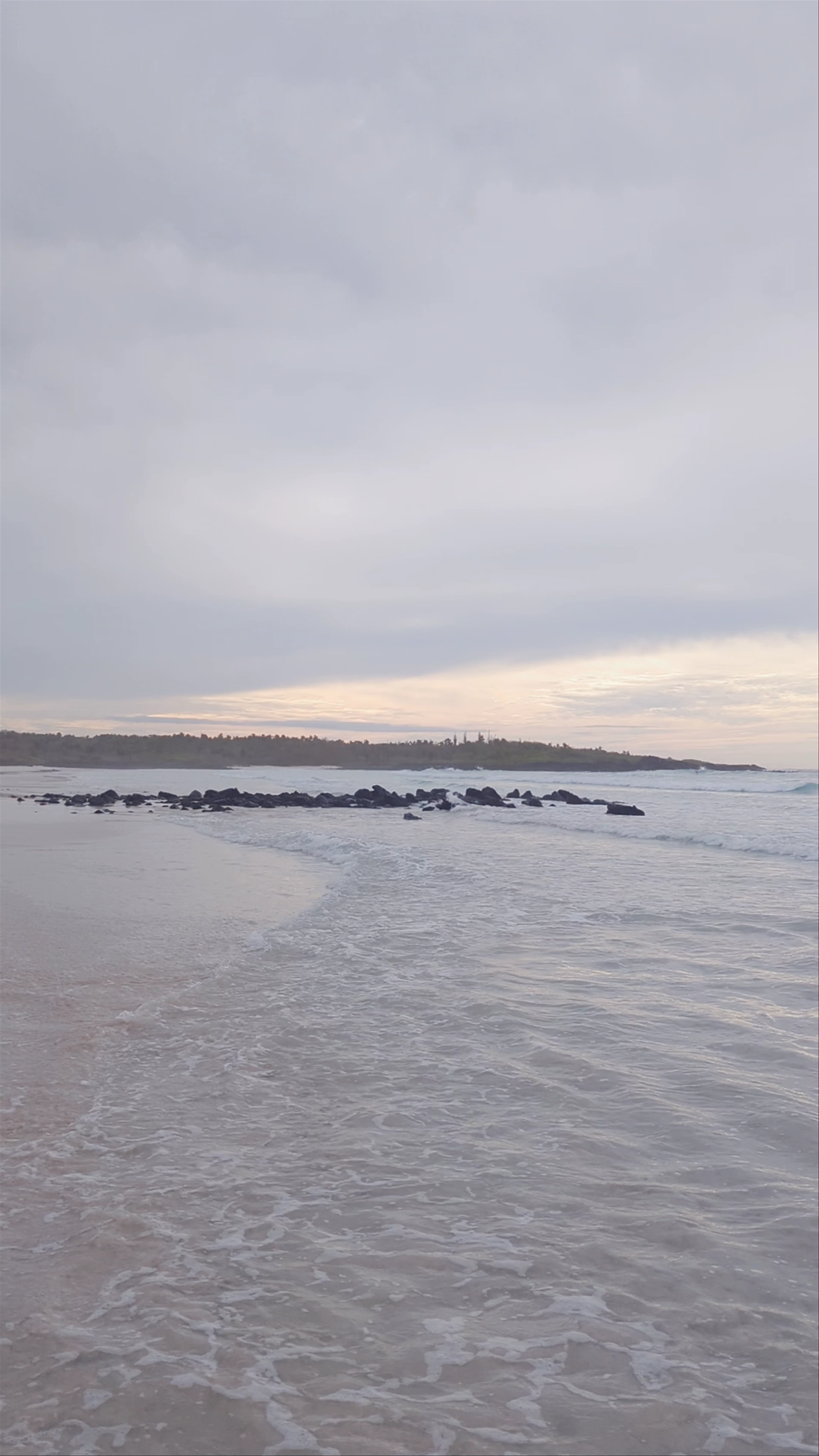 Tortuga Bay