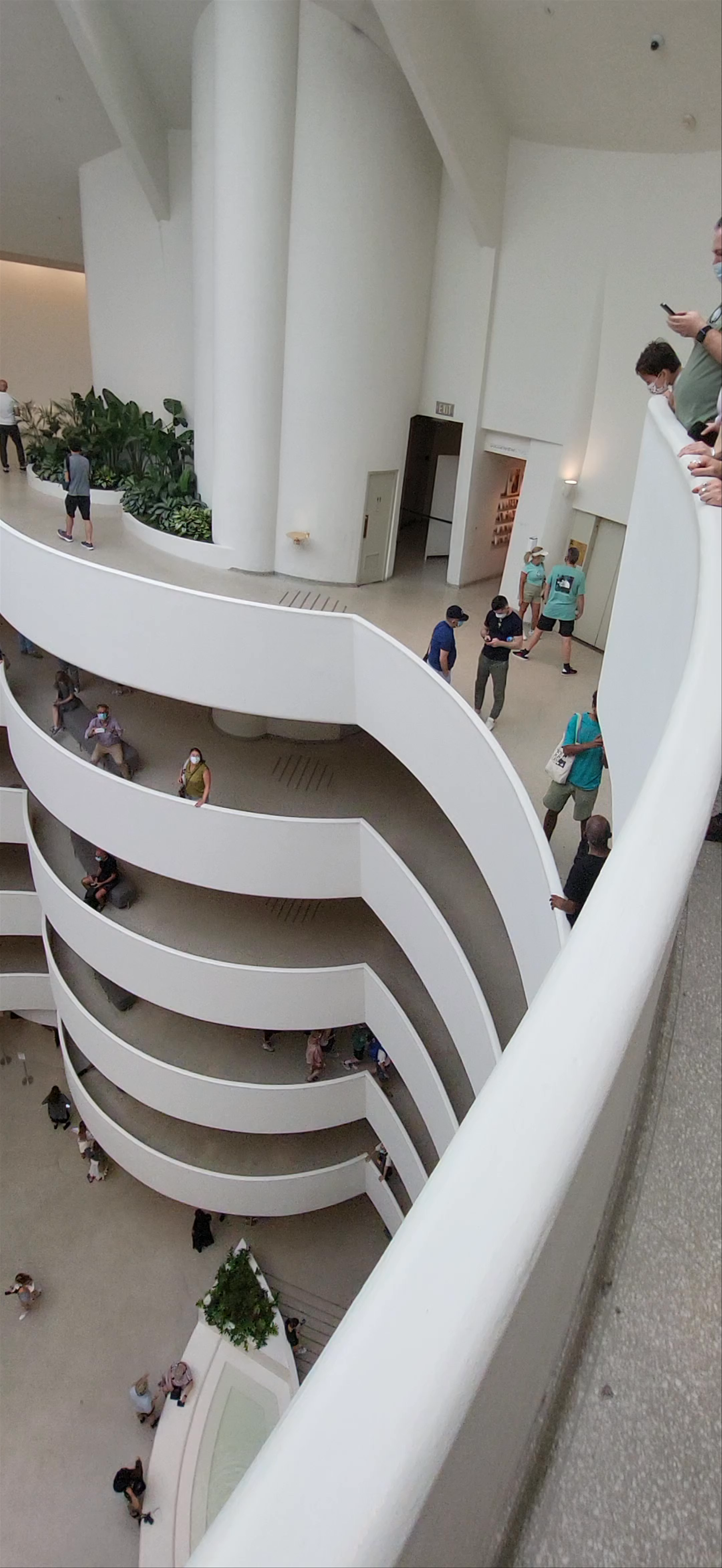 Guggenheim Museum Spiraling Art Experience in New York