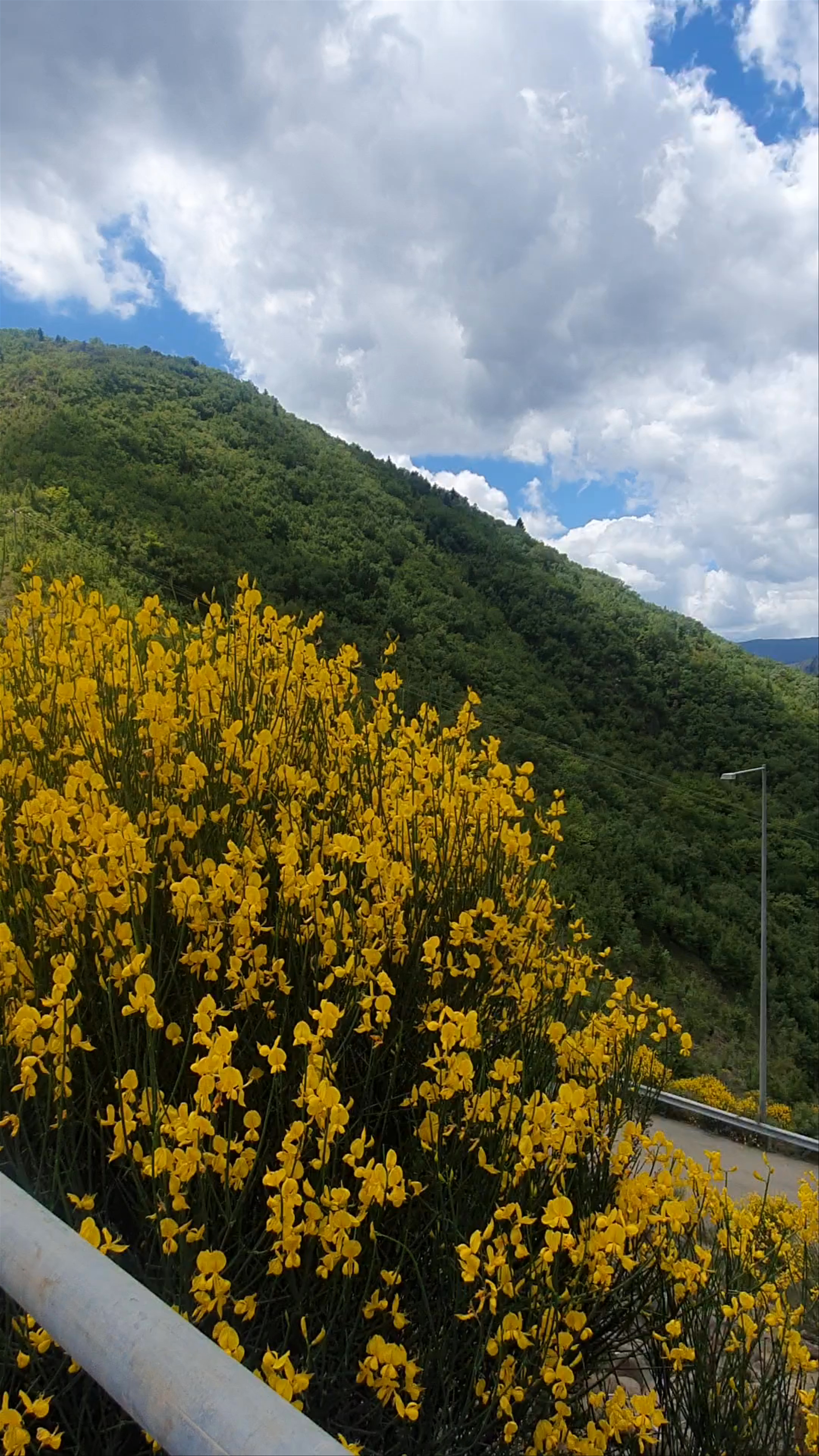 Φράγμα Τεχνητής Λίμνης Ευήνου