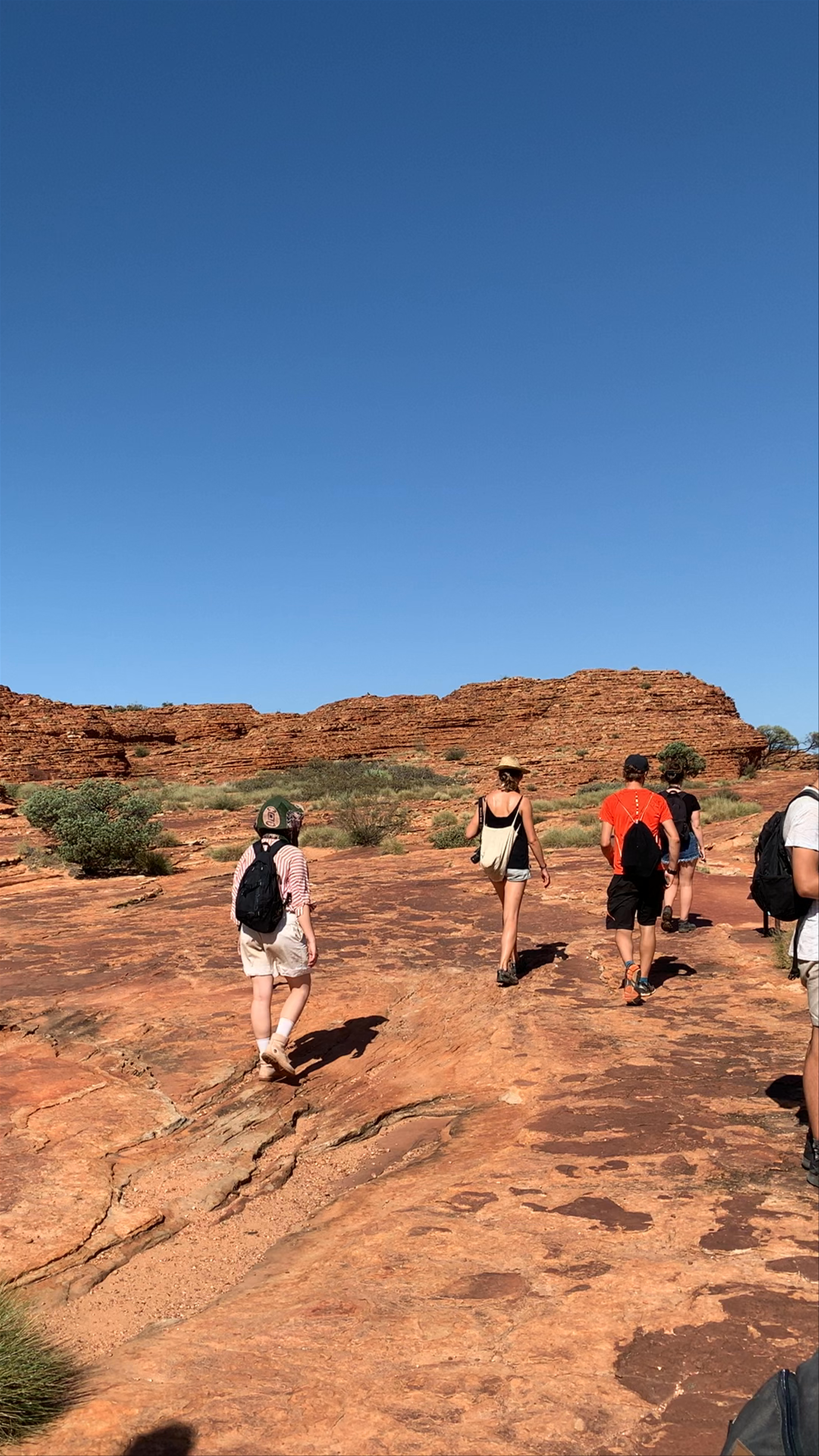 Kings Canyon Trekking Adventure in Petermann, Northern Territory