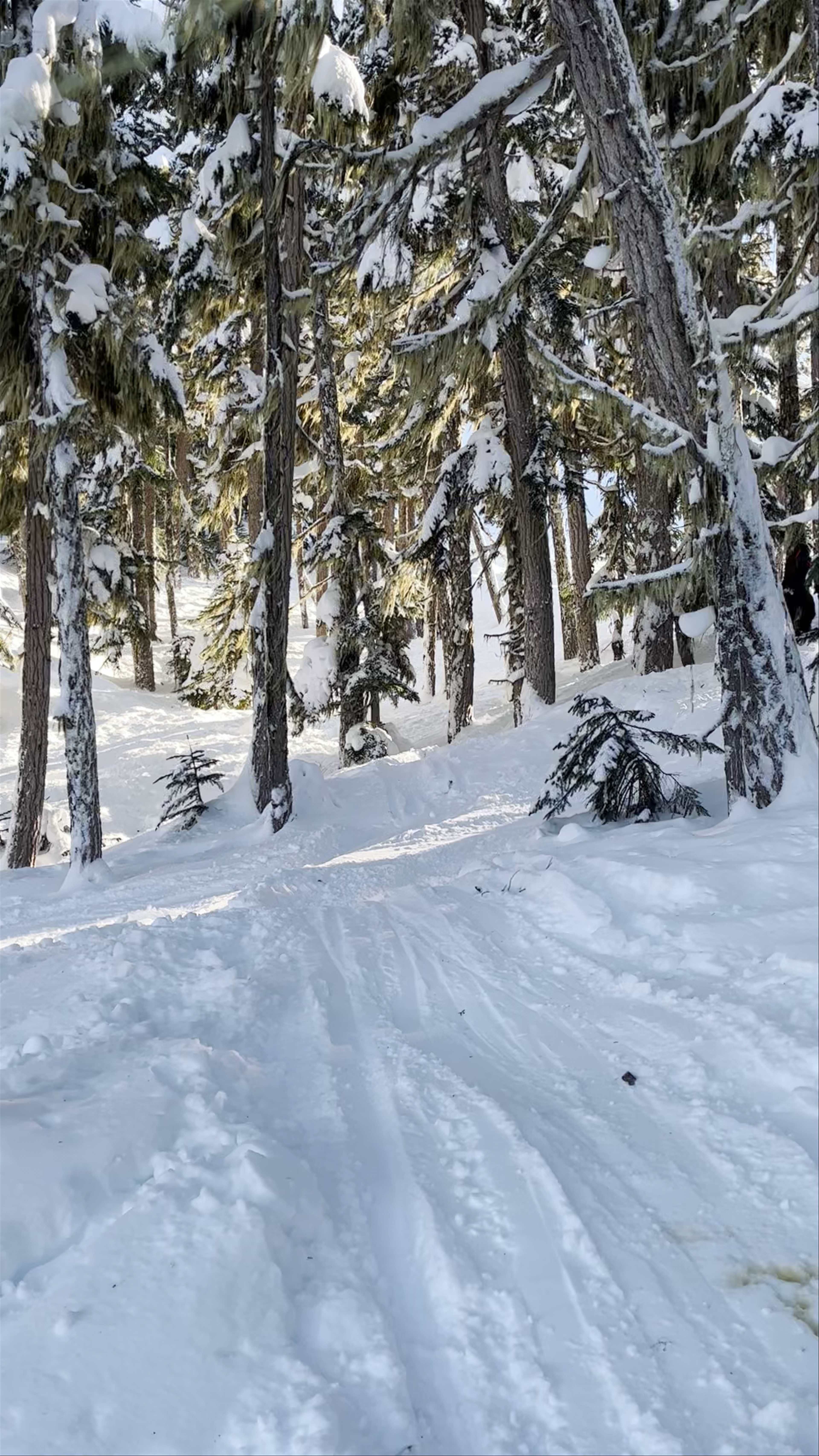 Winter Serenity on Blackcomb Peak, Whistler, Canada
