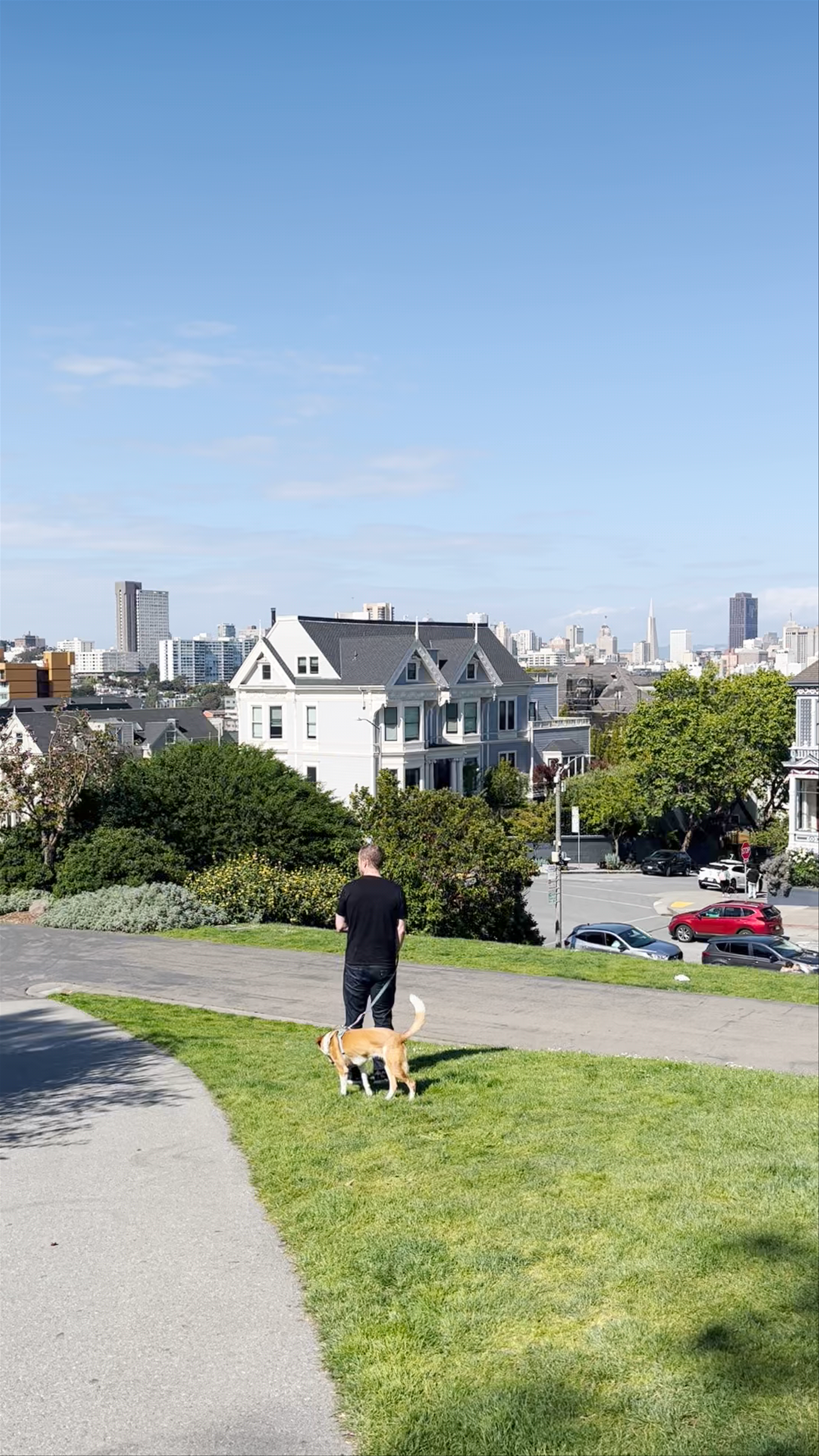 Alamo Square Park