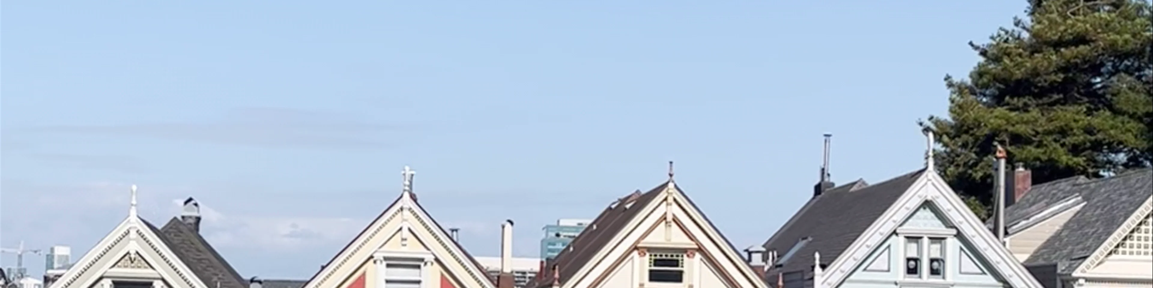 Alamo Square Park