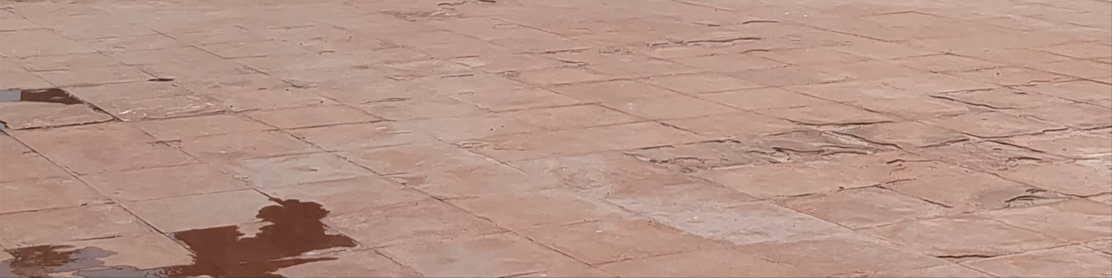 Badshahi Mosque