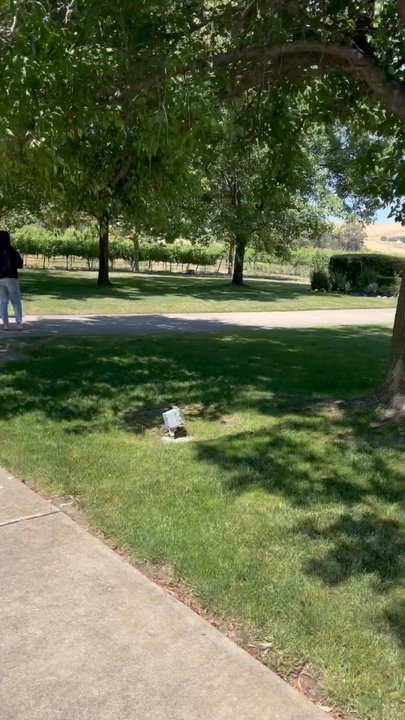 Garre Winery - A walk towards the event center...outside wedding ceremony location - Wineries Near Me - Livermore, California