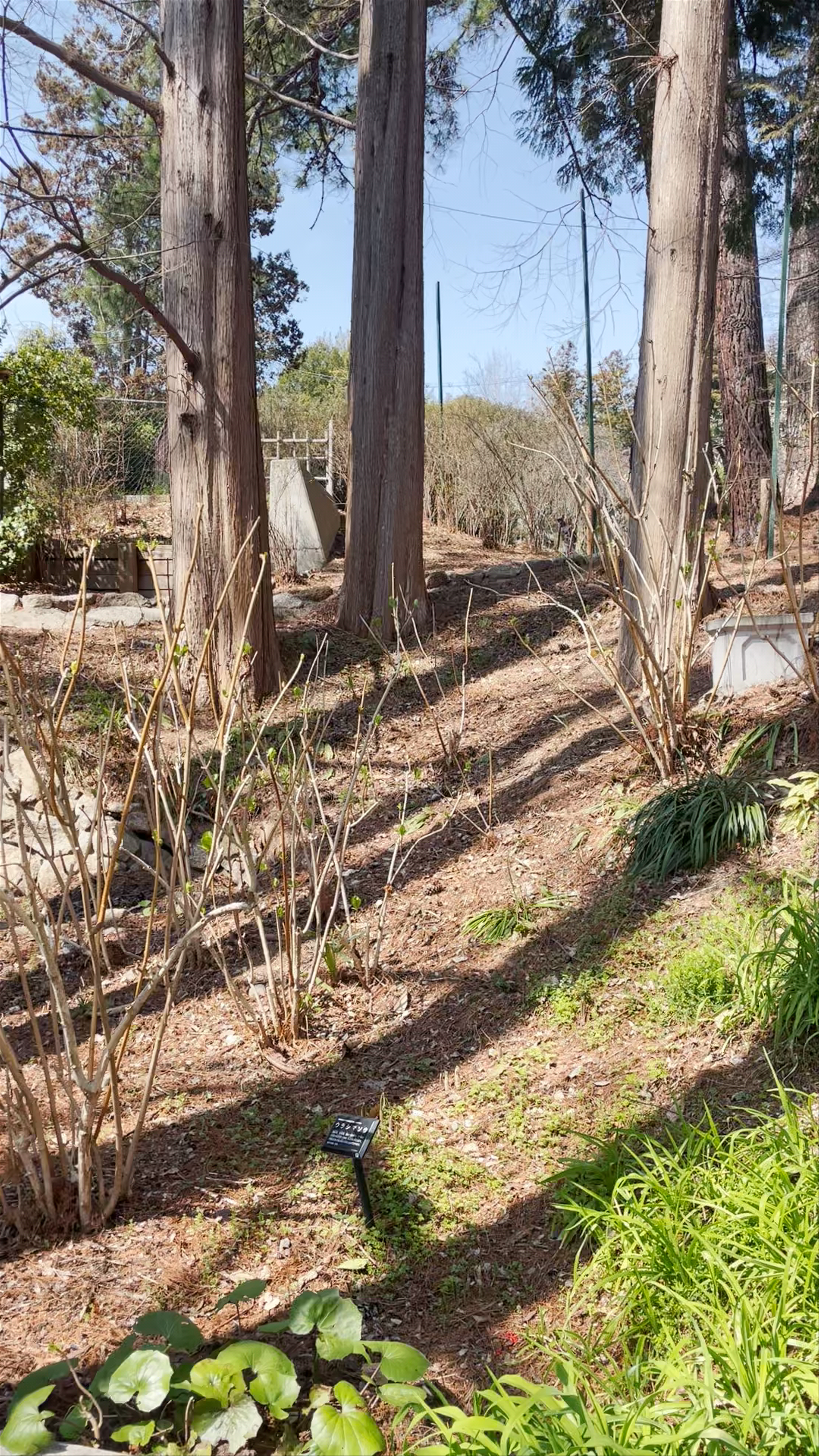 Okayama City Handayama Botanical Gardens
