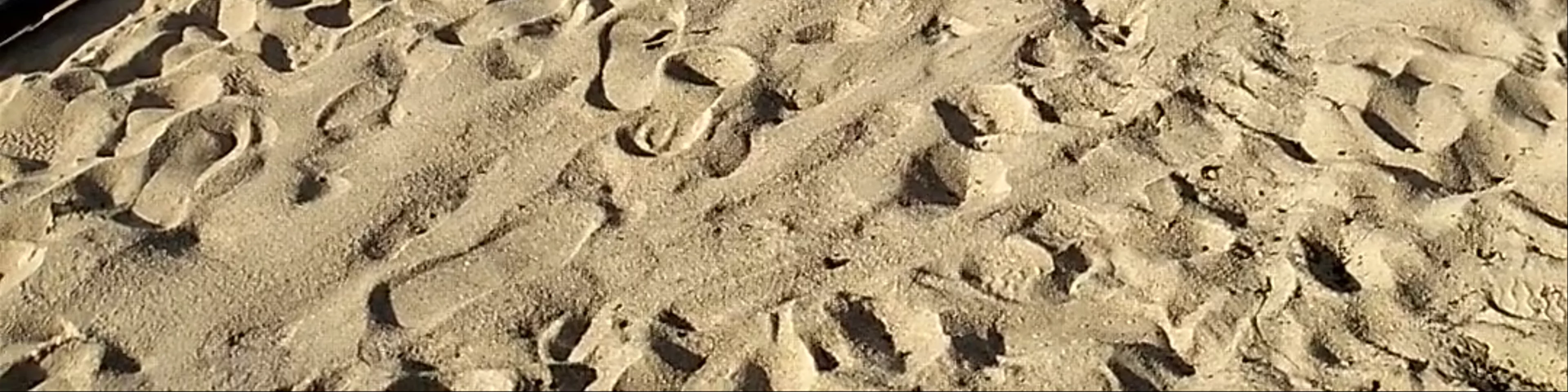 Mae Haad Beach