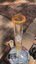 Small image 7