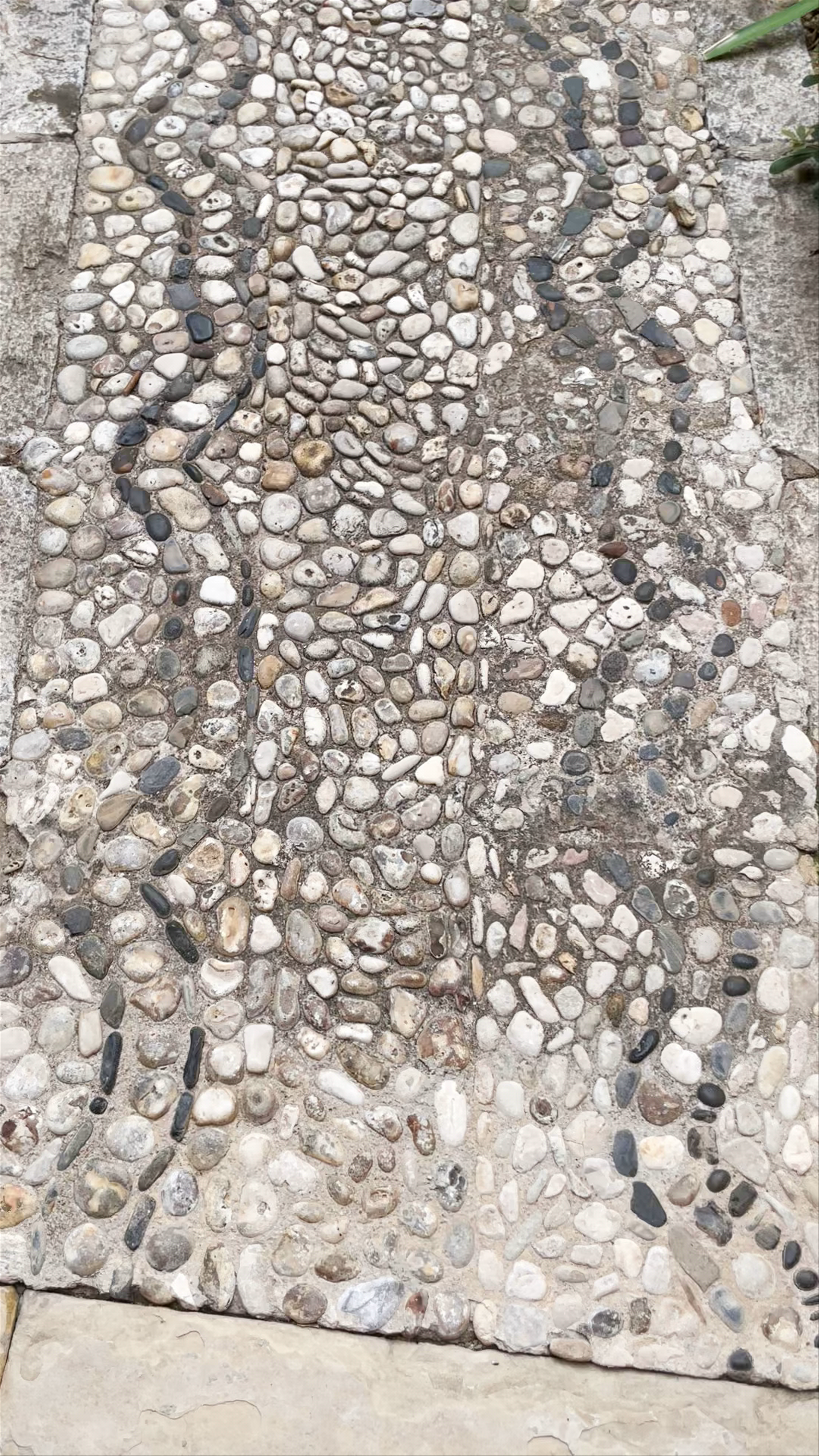 CLAUSTRO CATEDRAL DE ORIHUELA