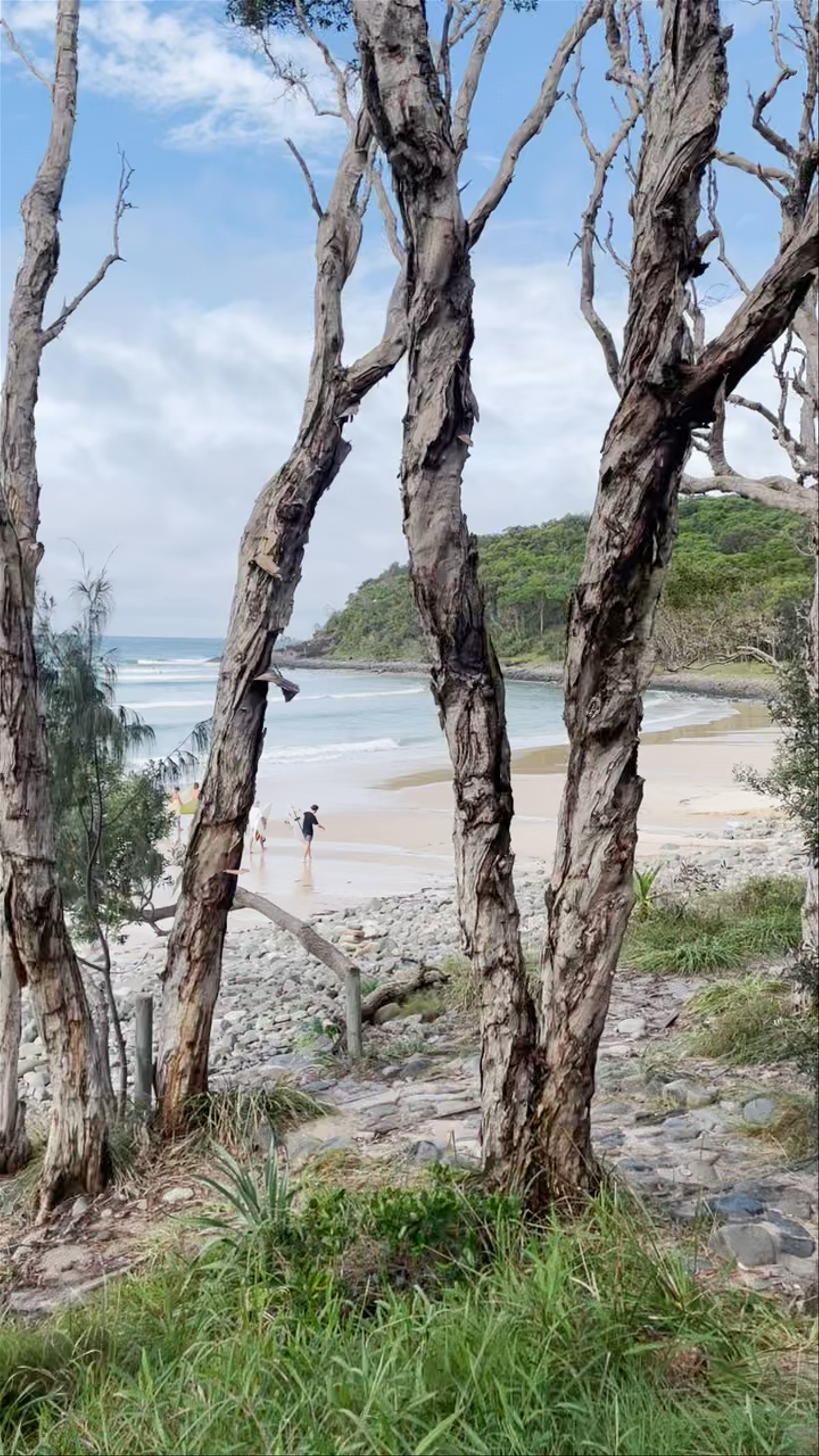 Noosa Coastal Walk