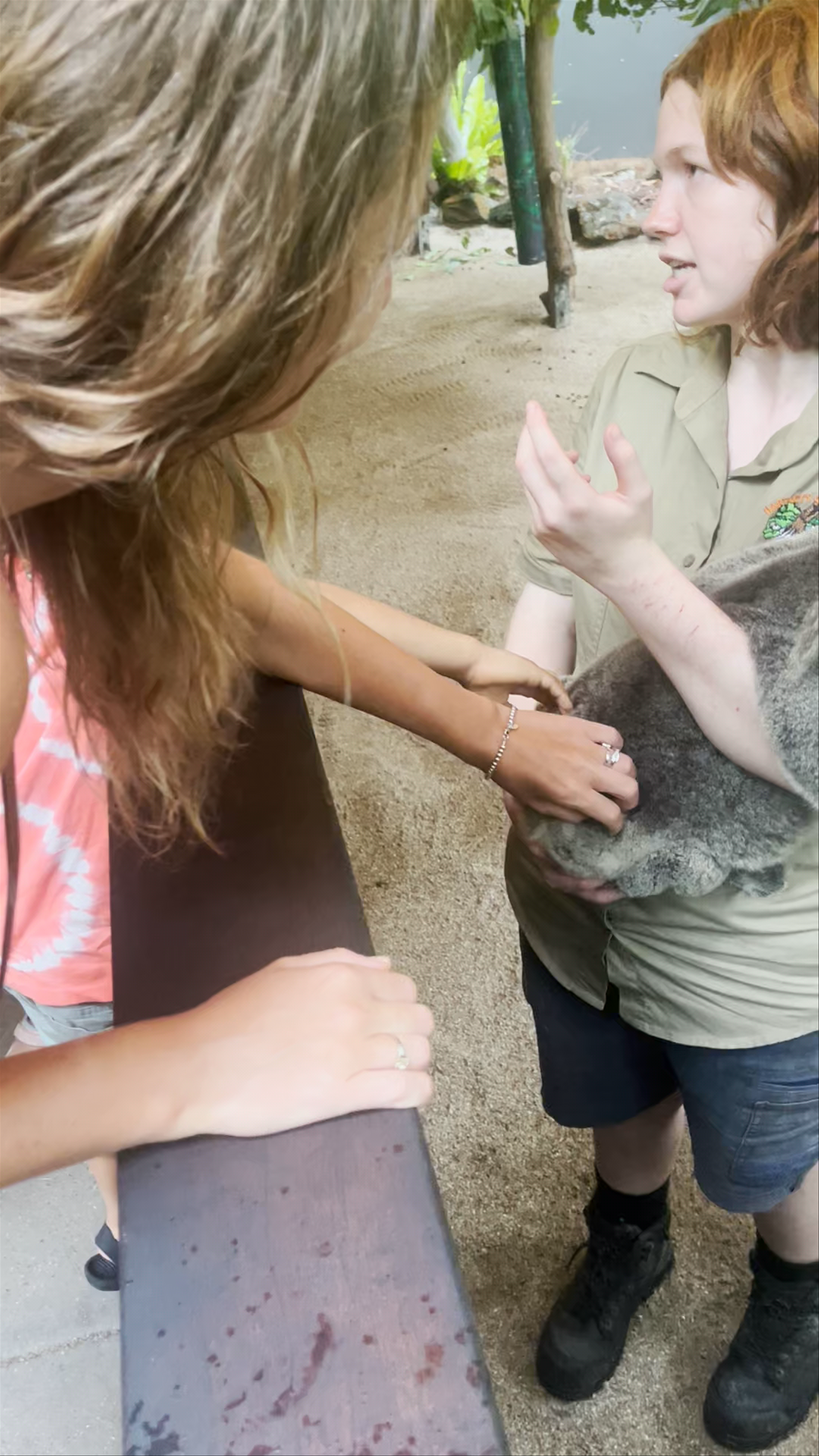 Hartley's Crocodile Adventures