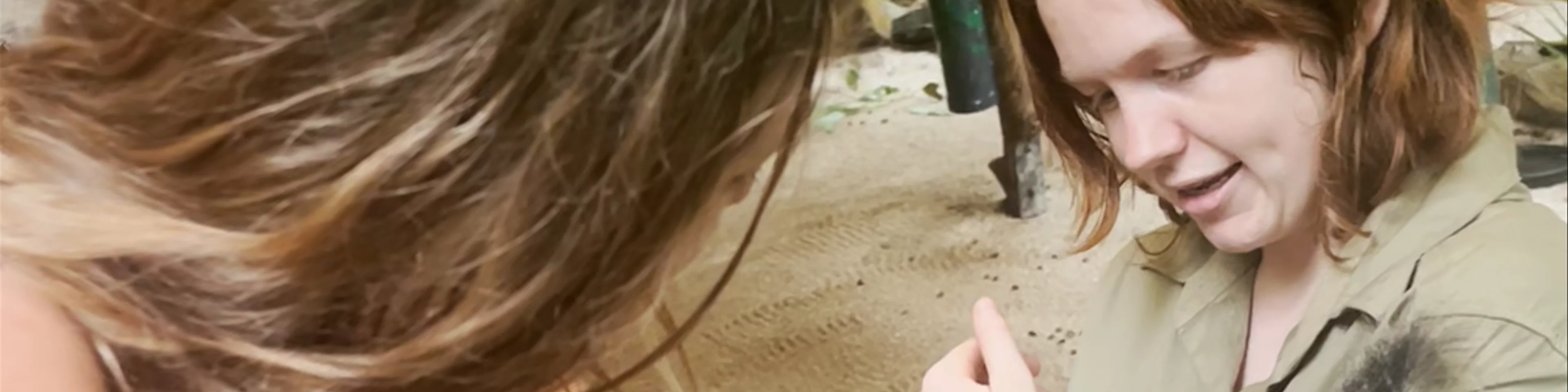 Hartley's Crocodile Adventures