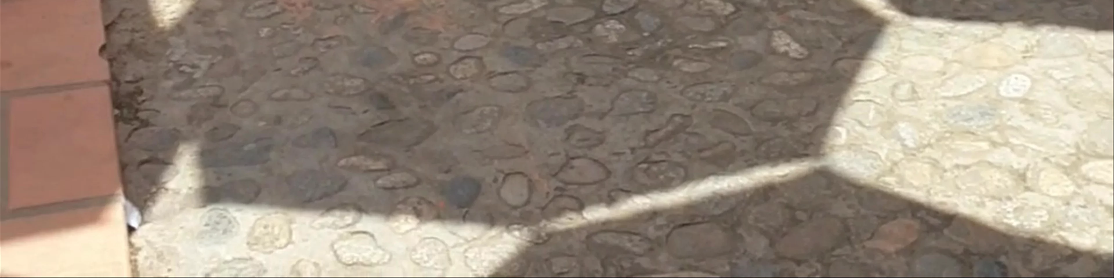 Plazoleta de Los Zócalos
