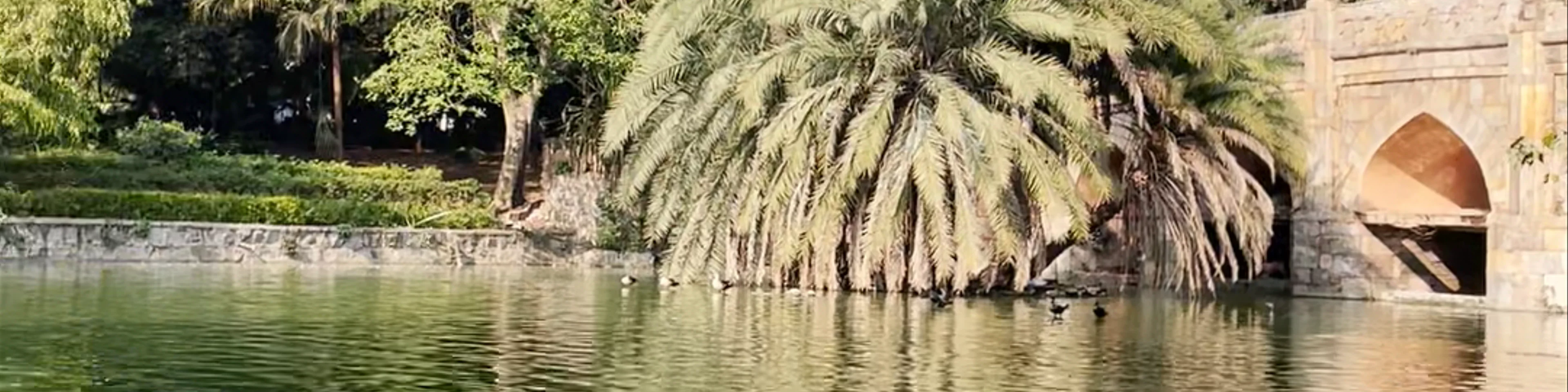 Lodhi Garden