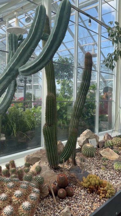 Volunteer Park Conservatory - Parks Near Me - Seattle, Washington