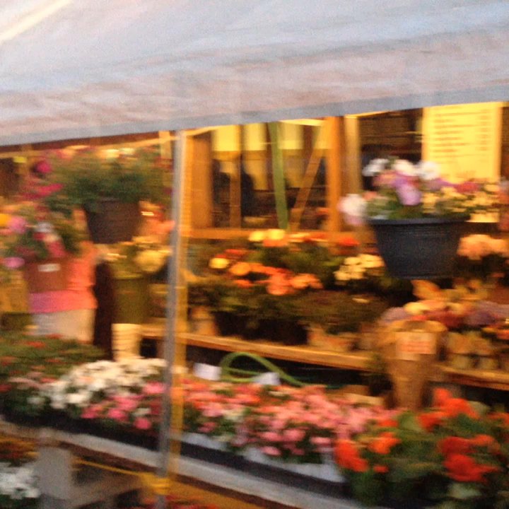 Mountain View Obon Odori - quick video of the flower shop to main food area outside...(more food inside & amongst gaming booths in the back)... - Buddhist Temples Near Me - Mountain View, California