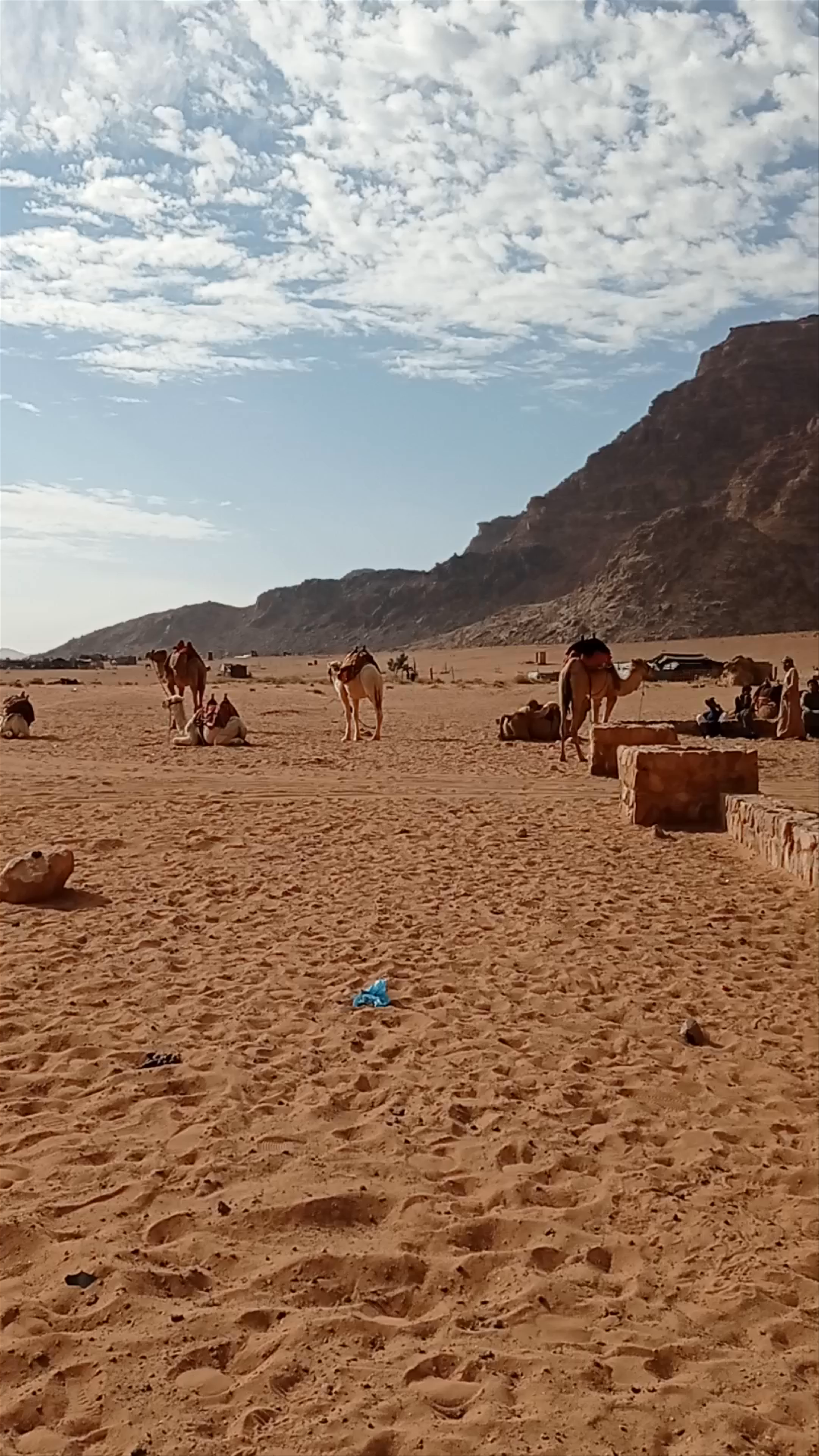 Wadi Rum Protected Area
