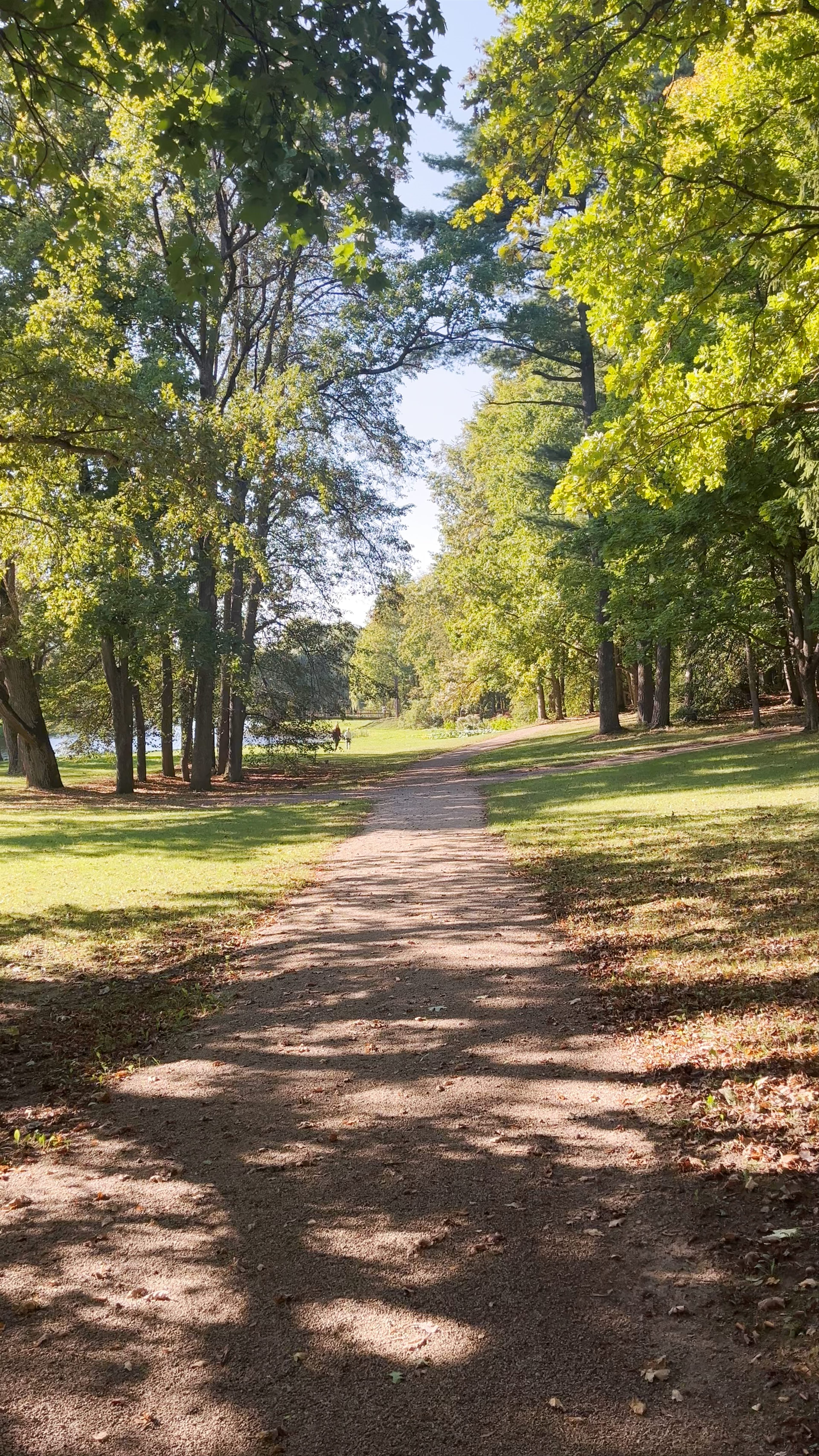Pajiešmenių ąžuolas