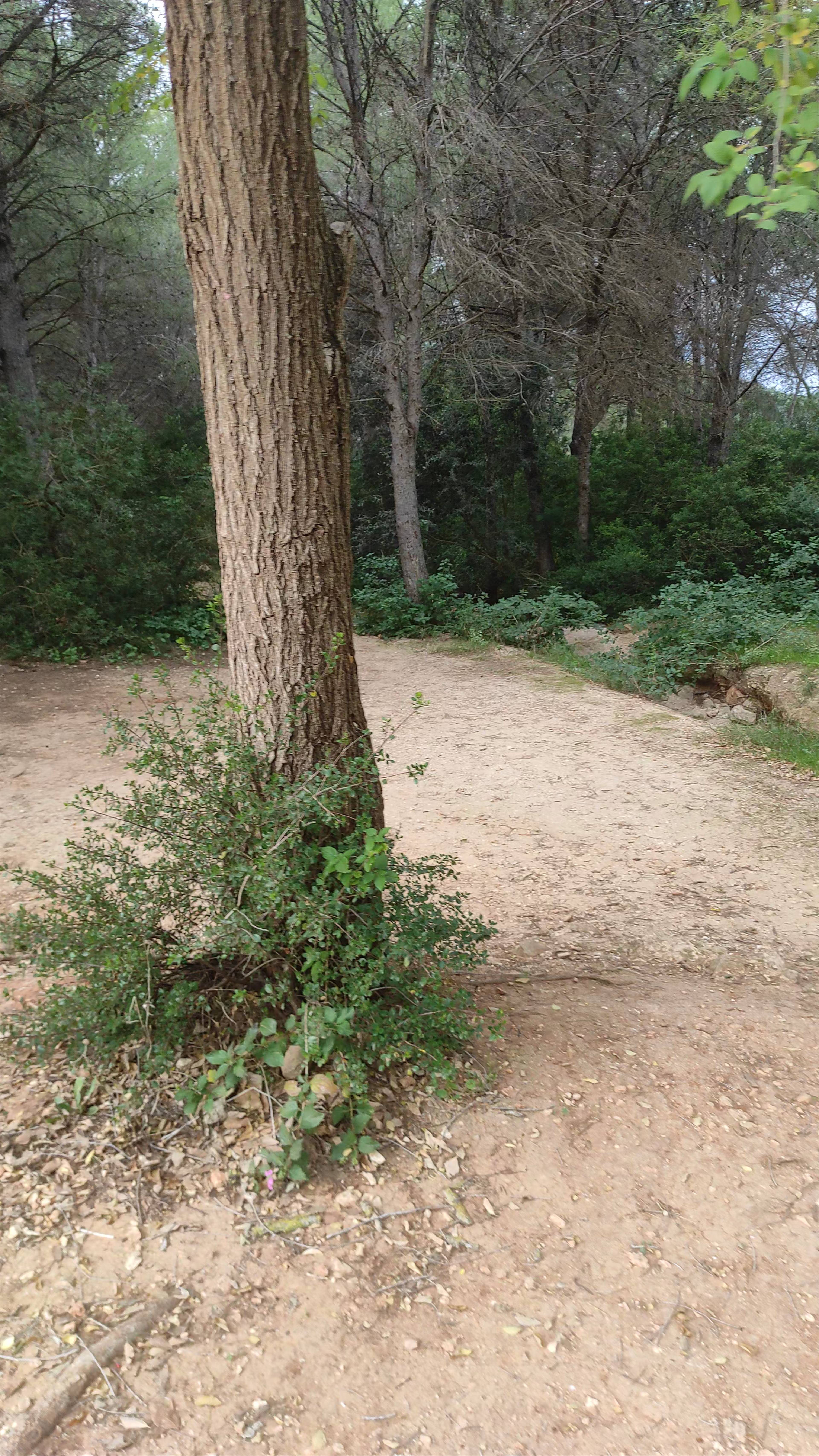 Parque Pinosol