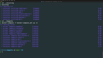 Set up Docker for an existing Magento project