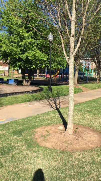 Lang-Carson Park - Video of Long-Carson Park grounds - Recreation Centers Near Me - Atlanta, Georgia