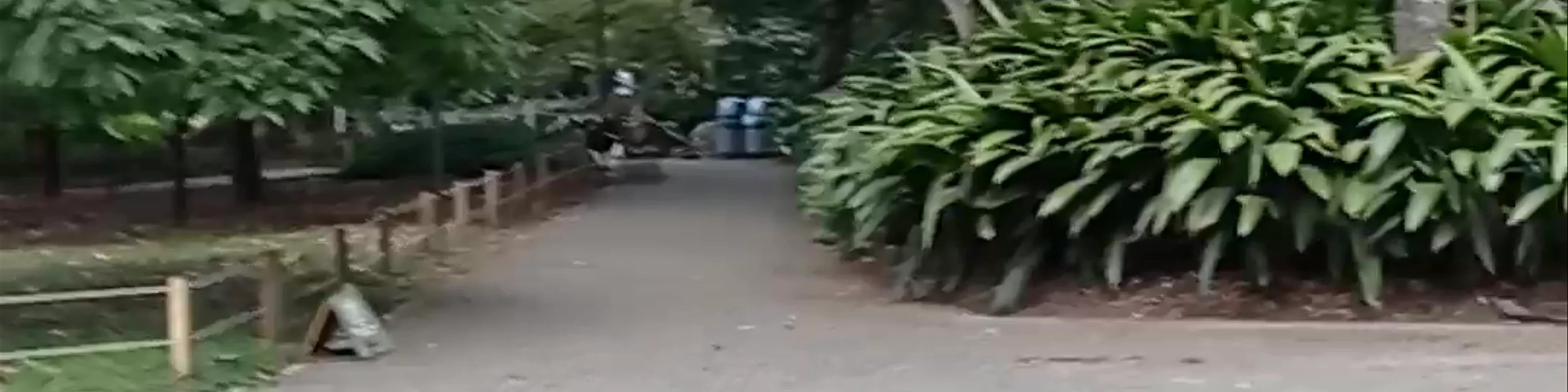 Jardín Botánico de Medellín