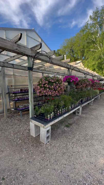 Greenwood Plants - Nurseries & Gardening Near Me - Rochester, Minnesota