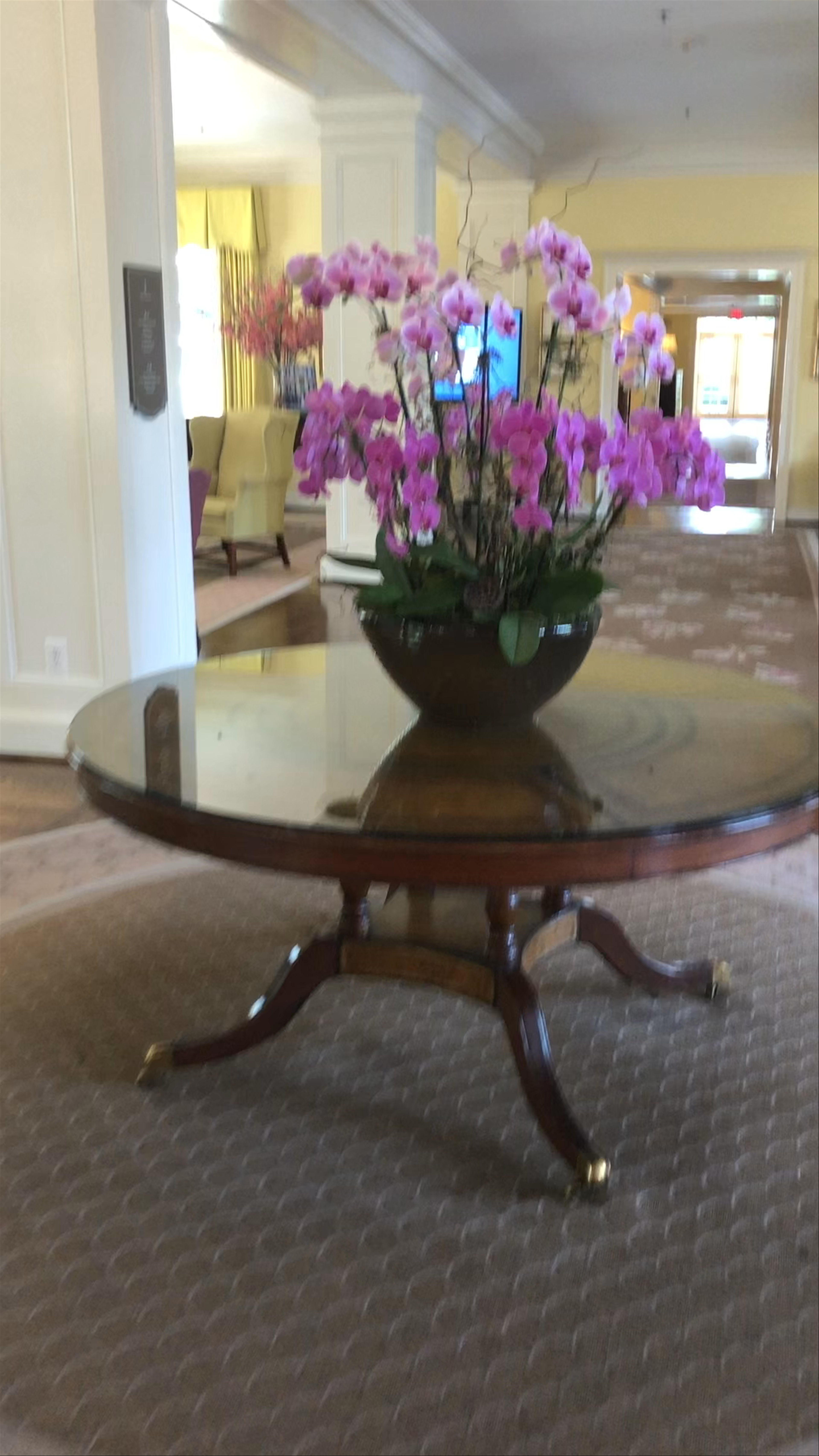 The Carolina Inn: Classic Southern Charm in Chapel Hill