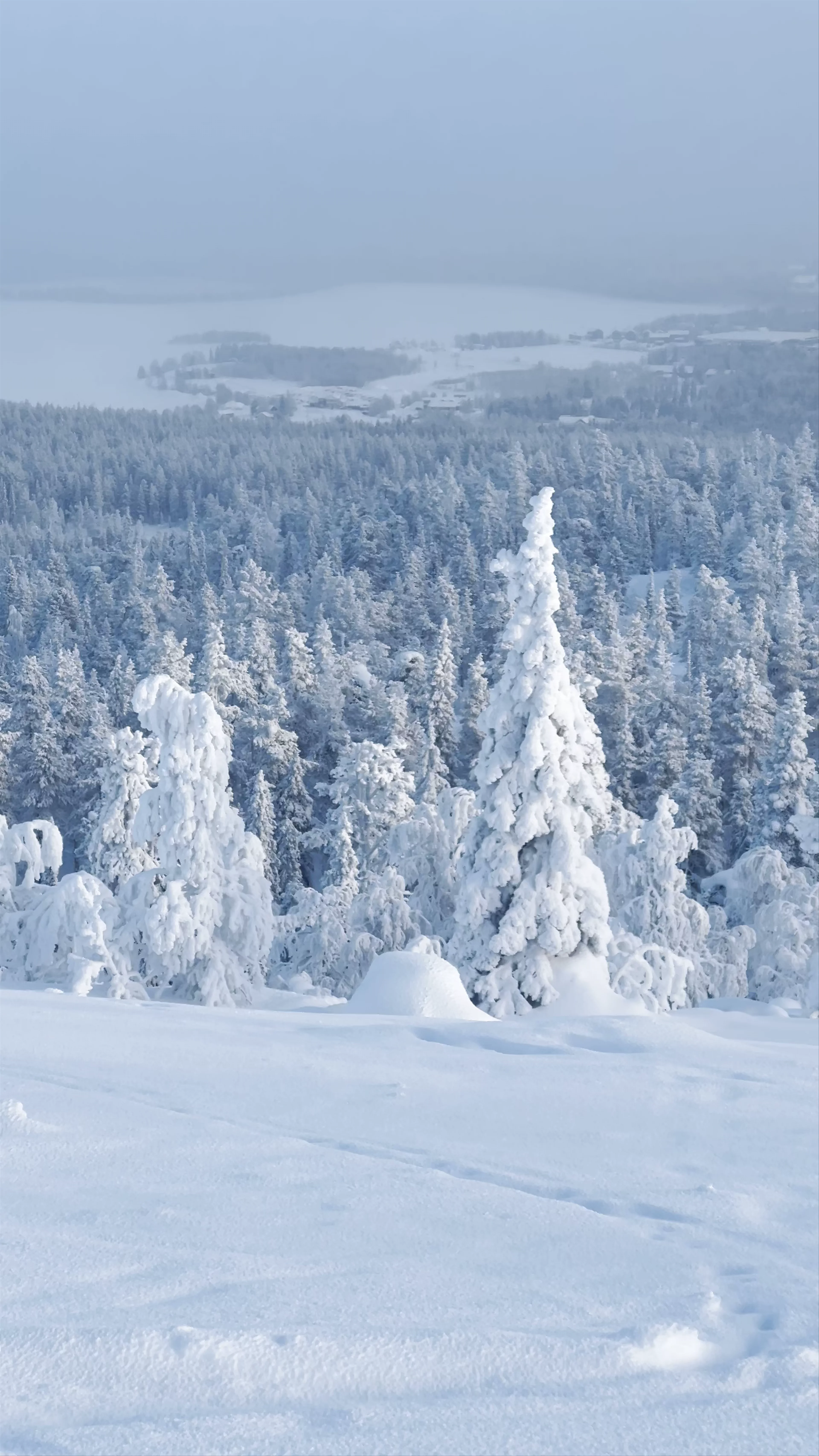 Kuertunturi