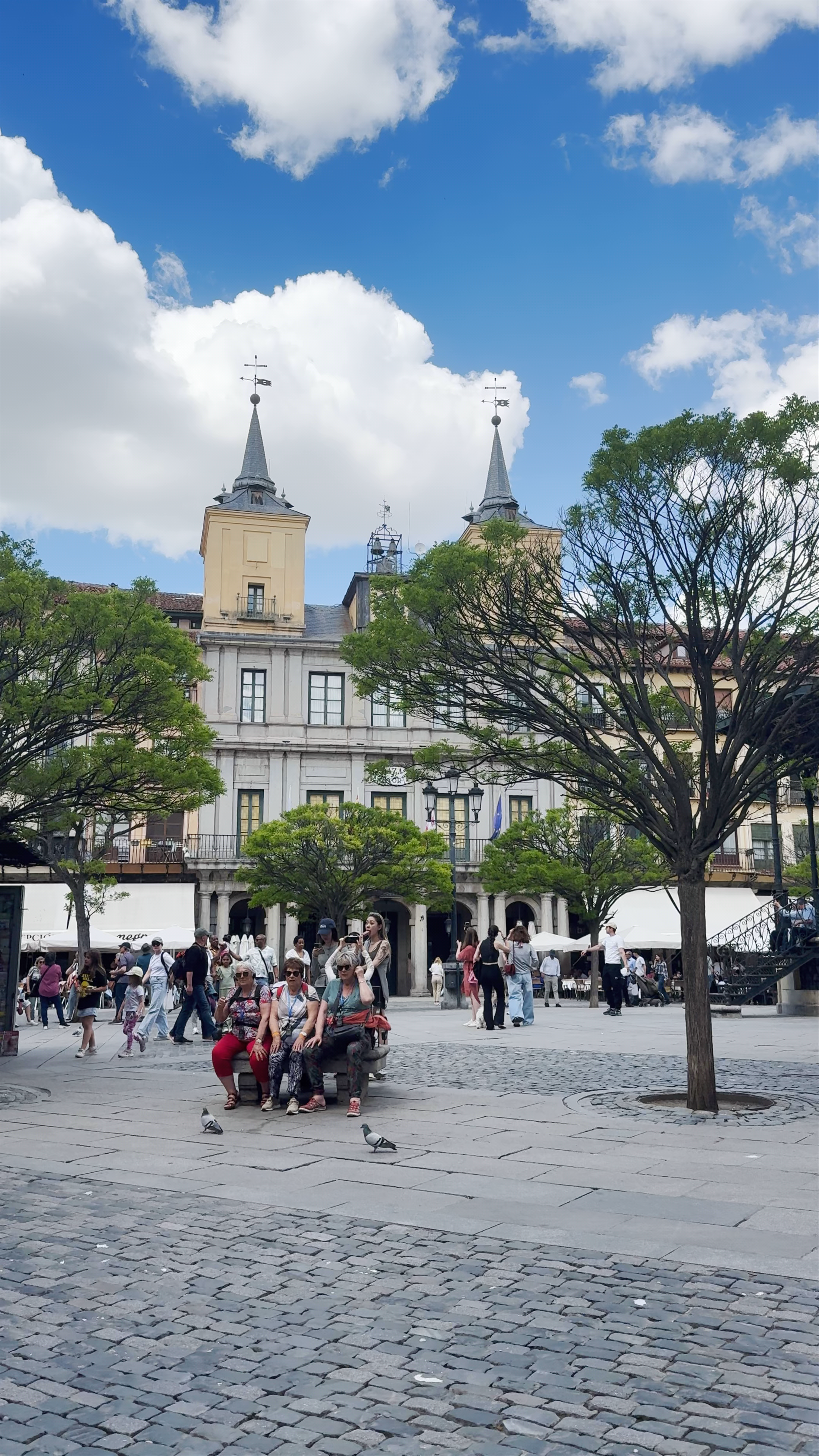 Plaza Mayor: Vibrant Scene of Historic Segovia
