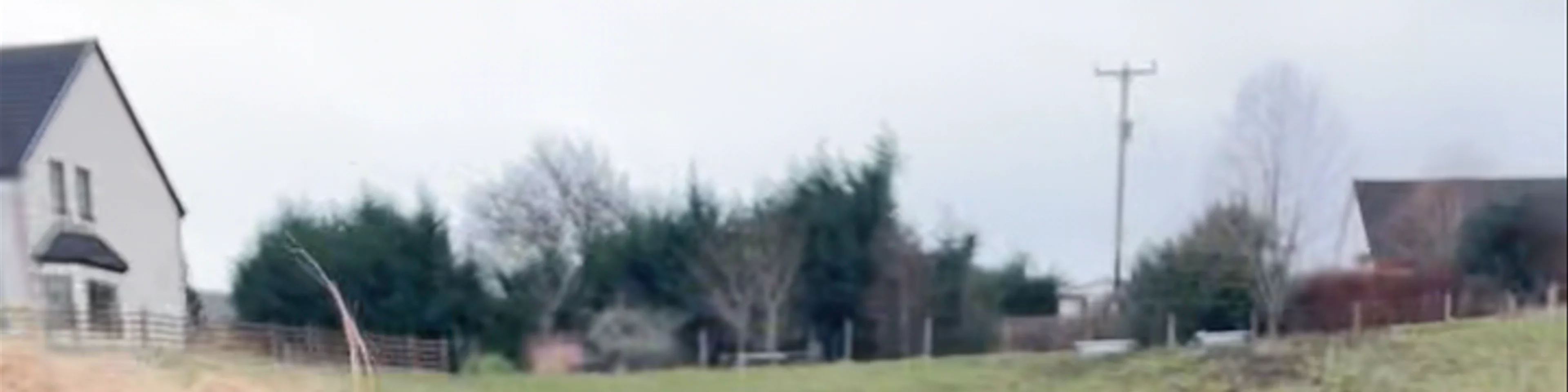 The Hairy Coo - Scotland Tours