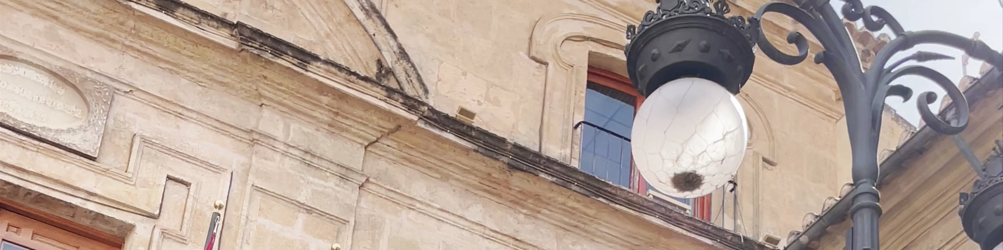 Plaza Del Arco