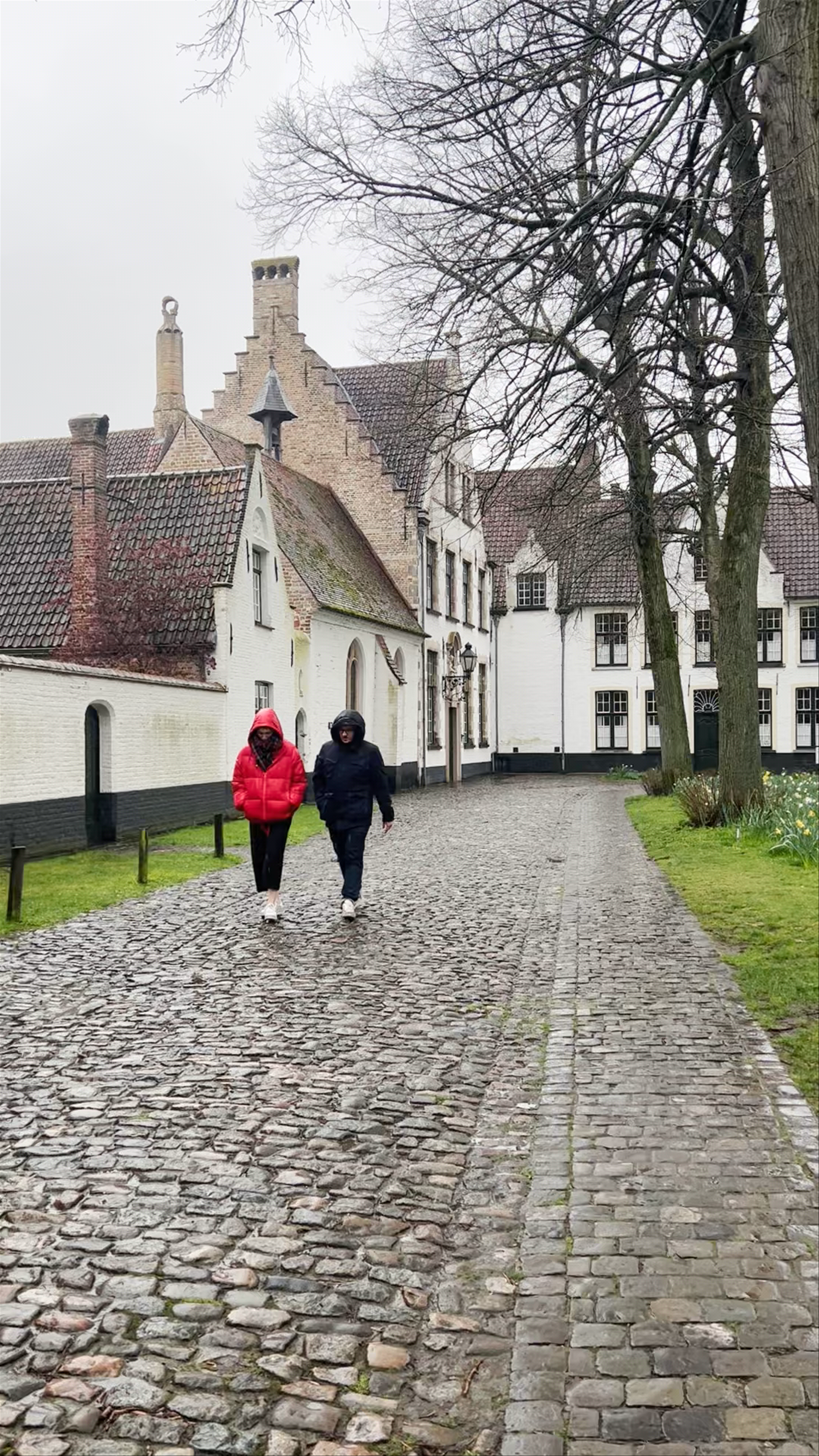 Springtime Serenity at Begijnhof, Bruges