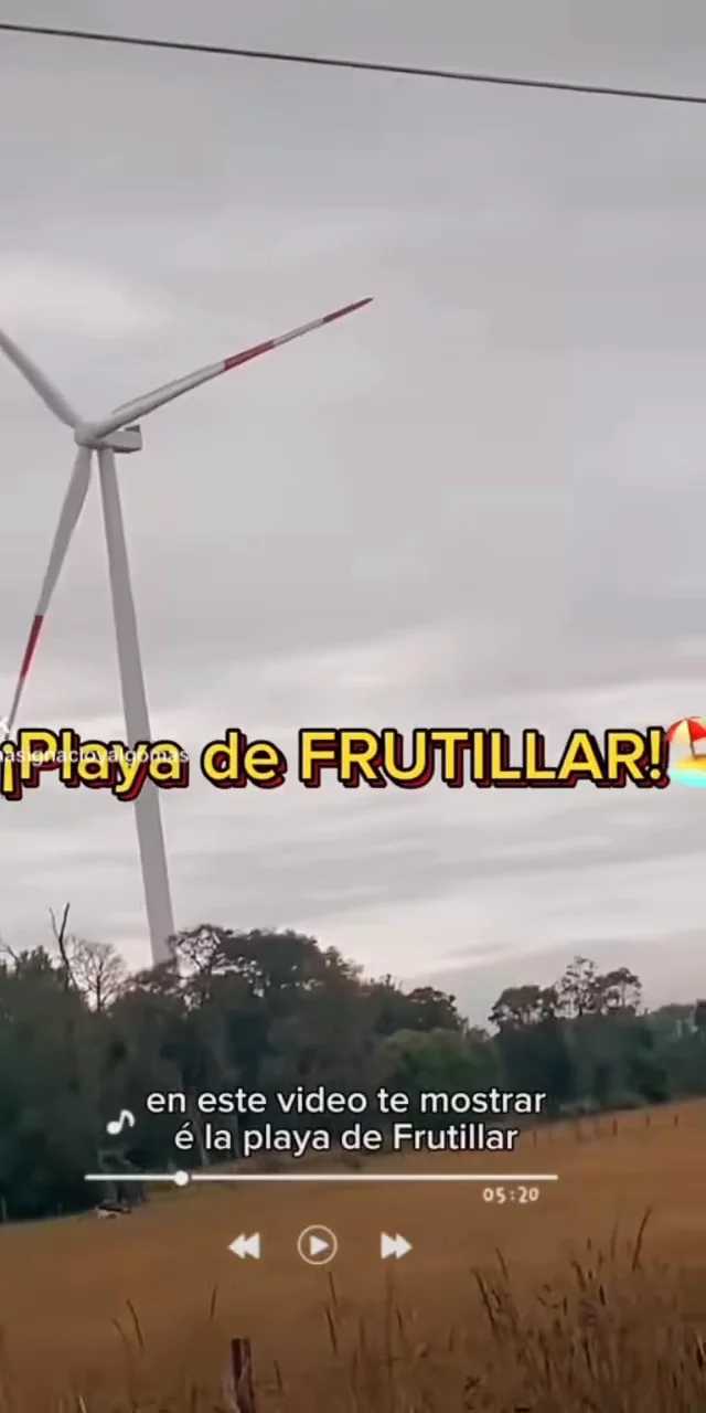 Conociendo Frutillar