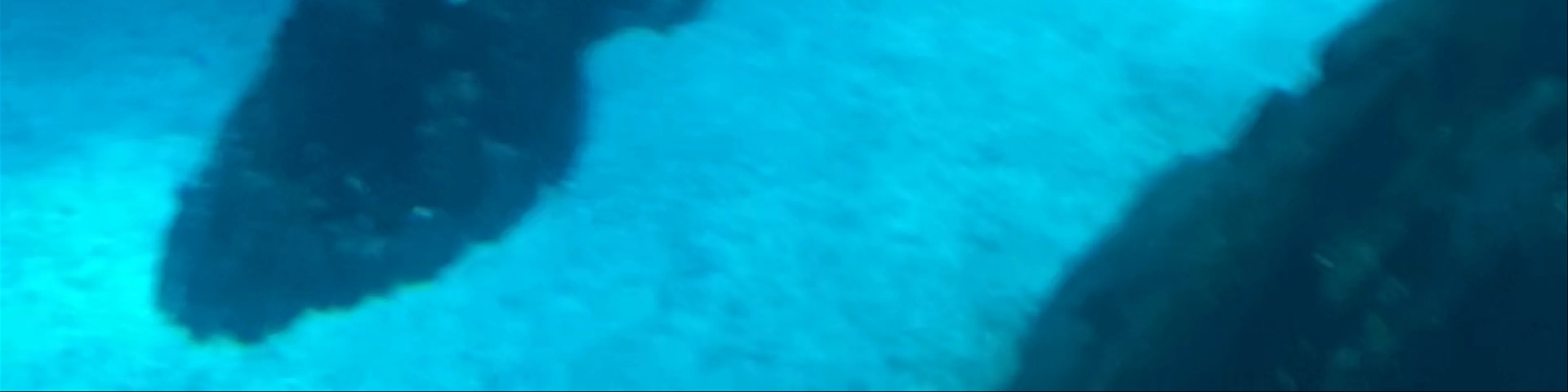 Oceanário de Lisboa