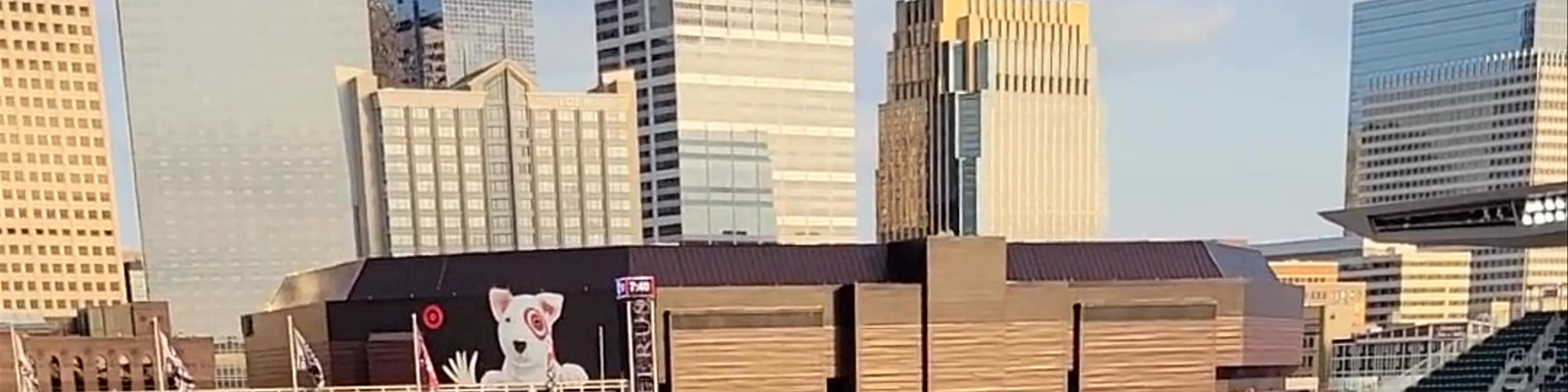 Minnesota Twins 