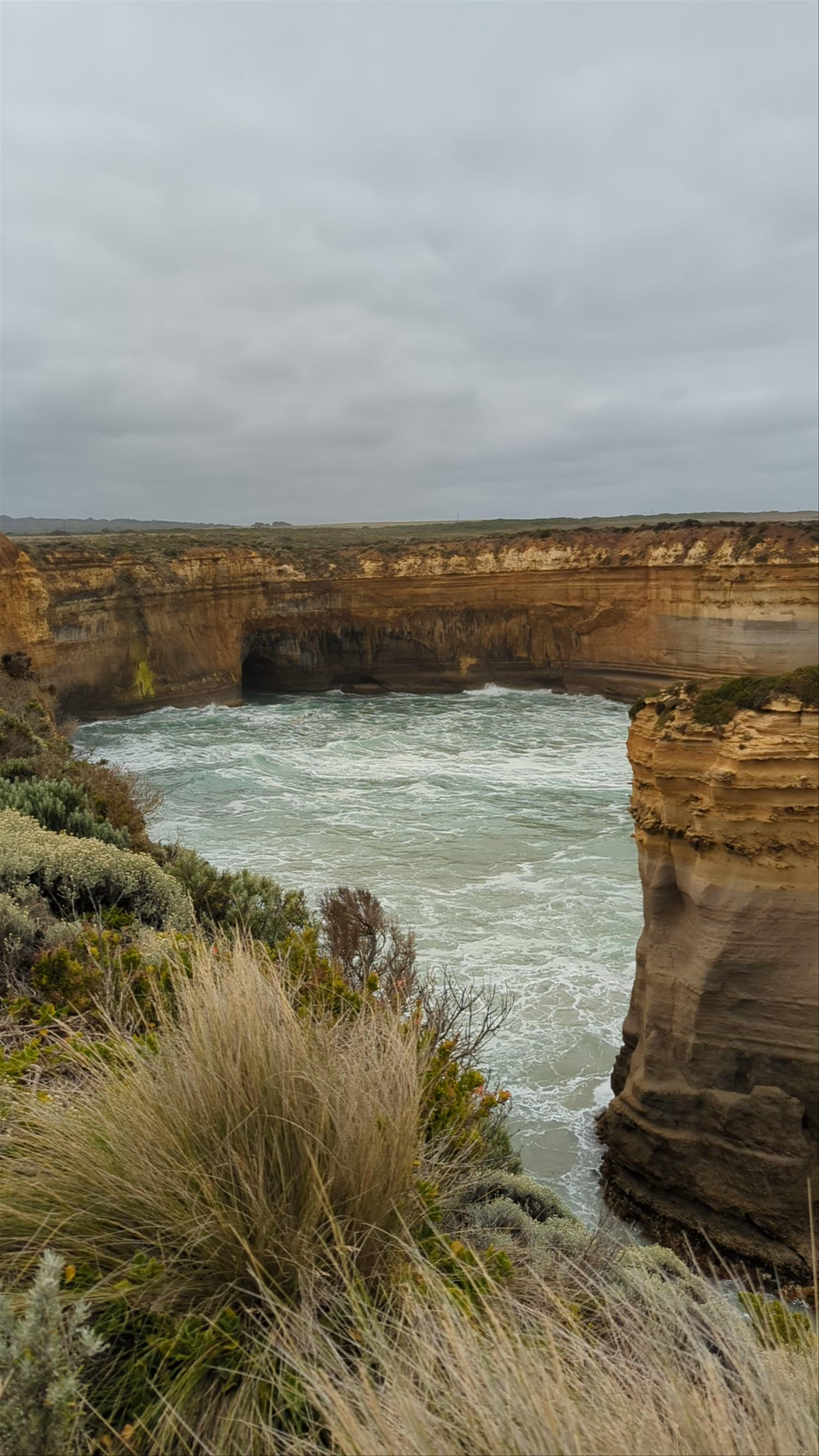 The Razorback Lookout