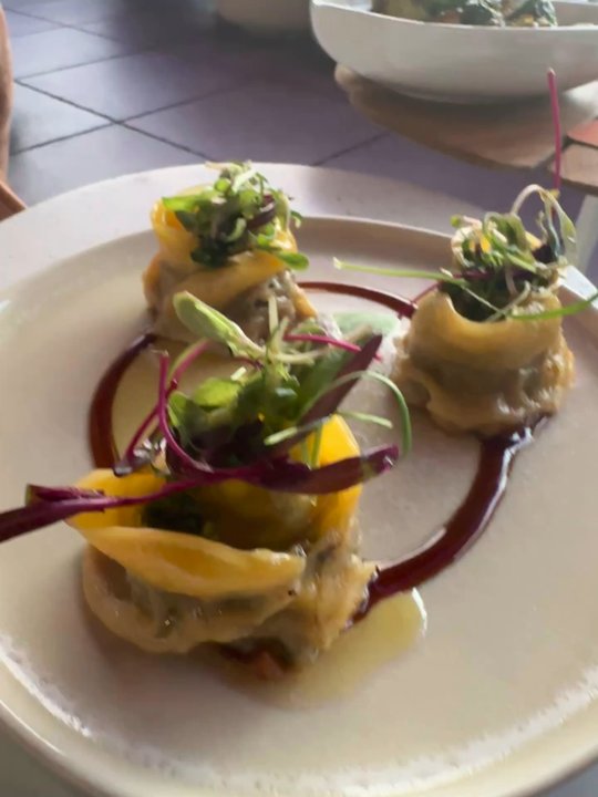 Beacon - Wagyu dumplings - Cocktail Bars Near Me - Tampa, Florida