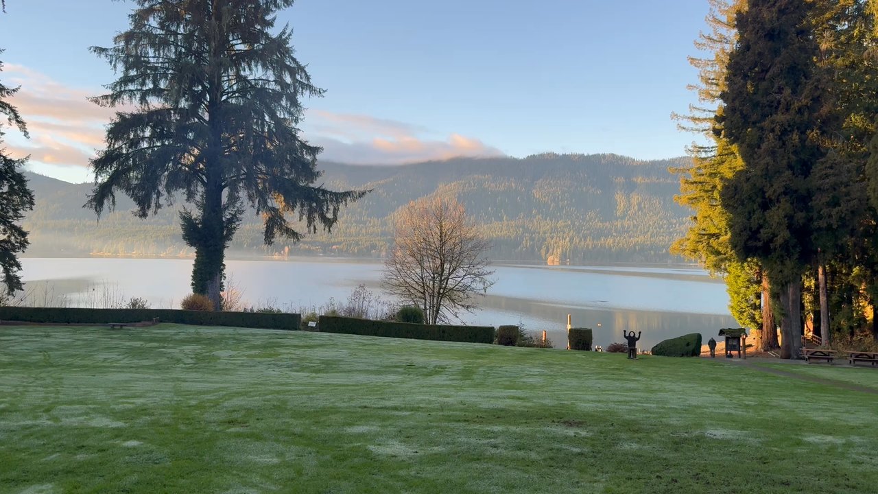 Roosevelt Room - Outside lake view - American Near Me - Quinault, Washington