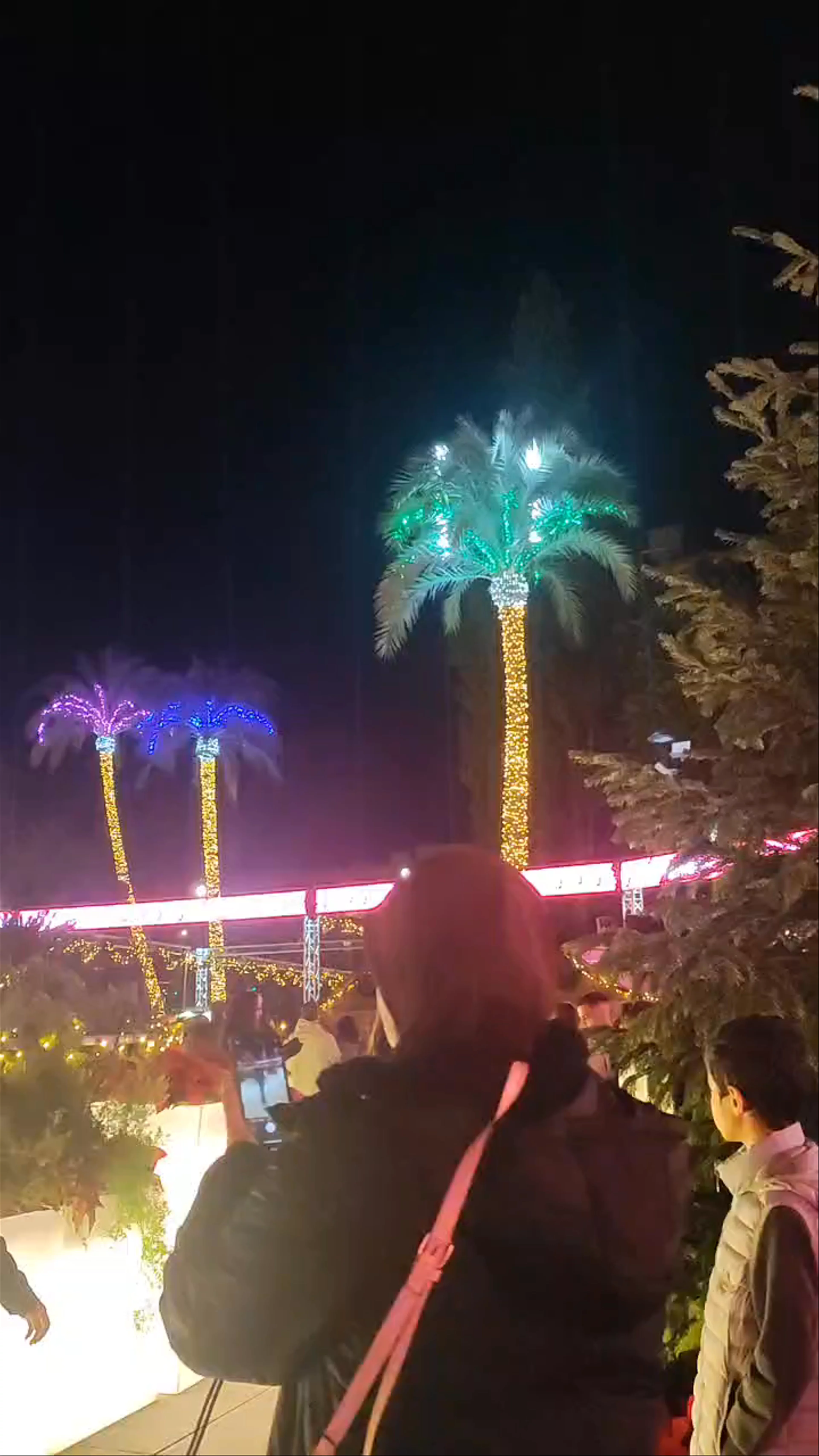 Fuente Plaza Circular