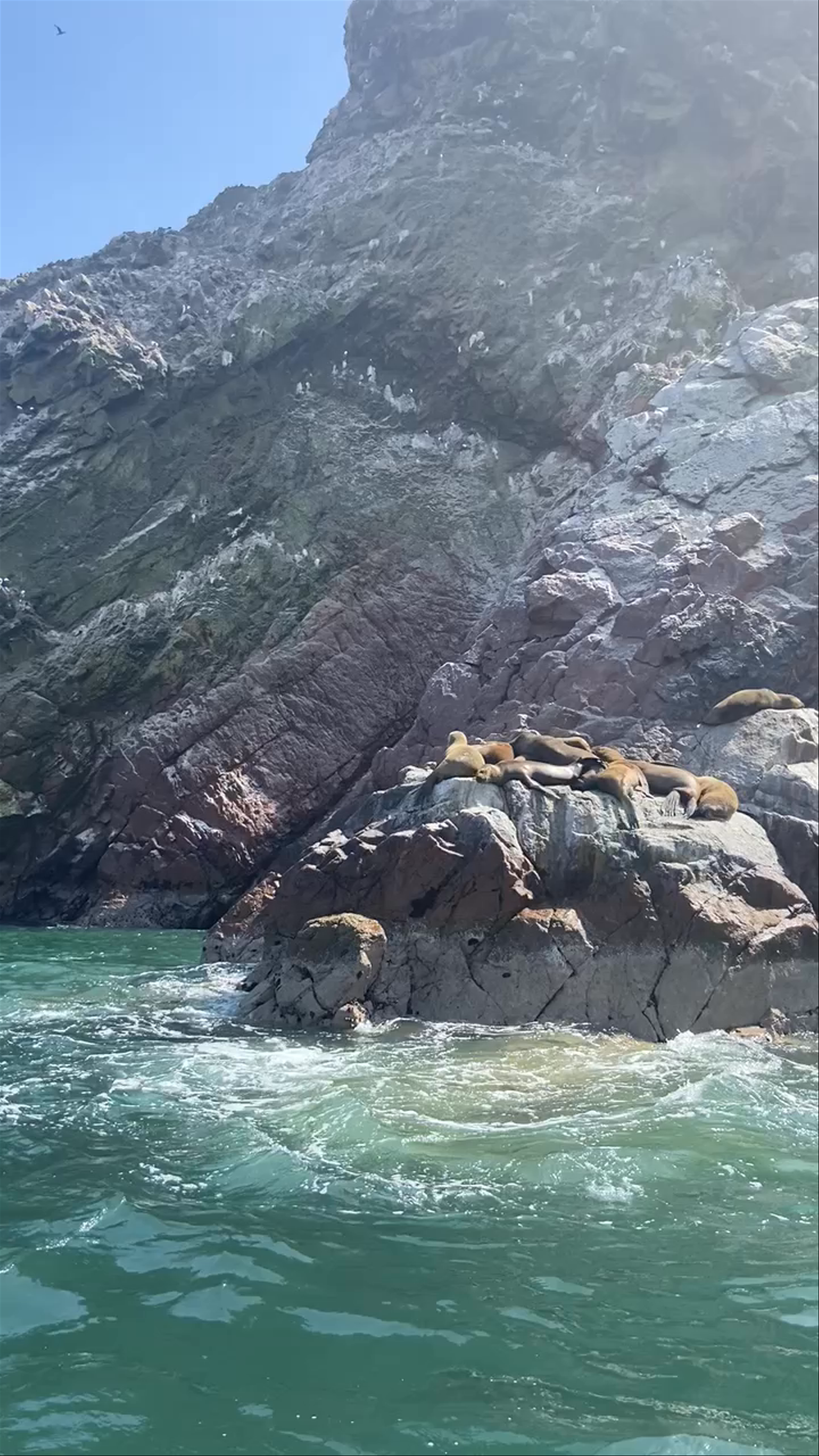 Ballestas Islands