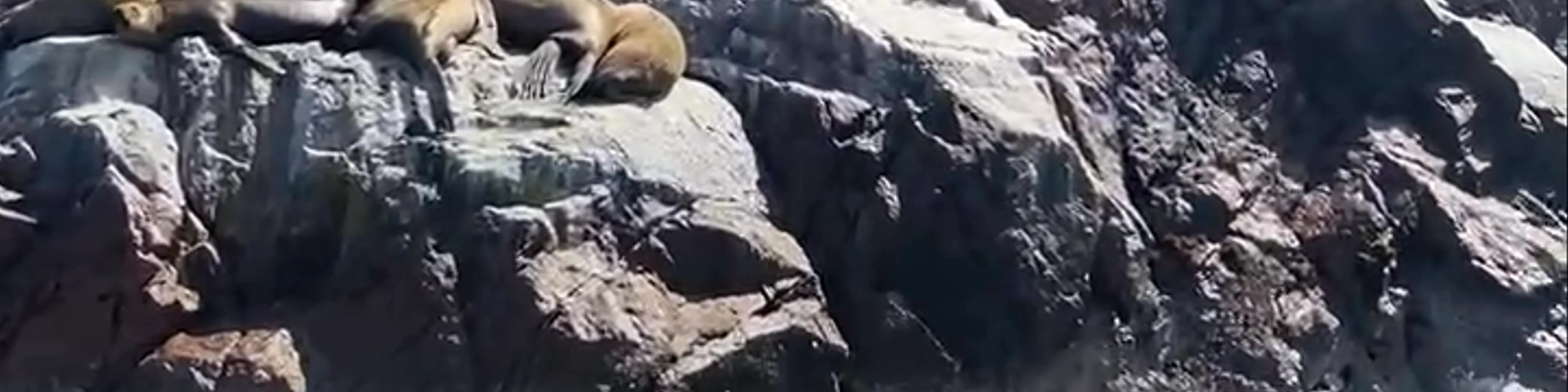 Ballestas Islands